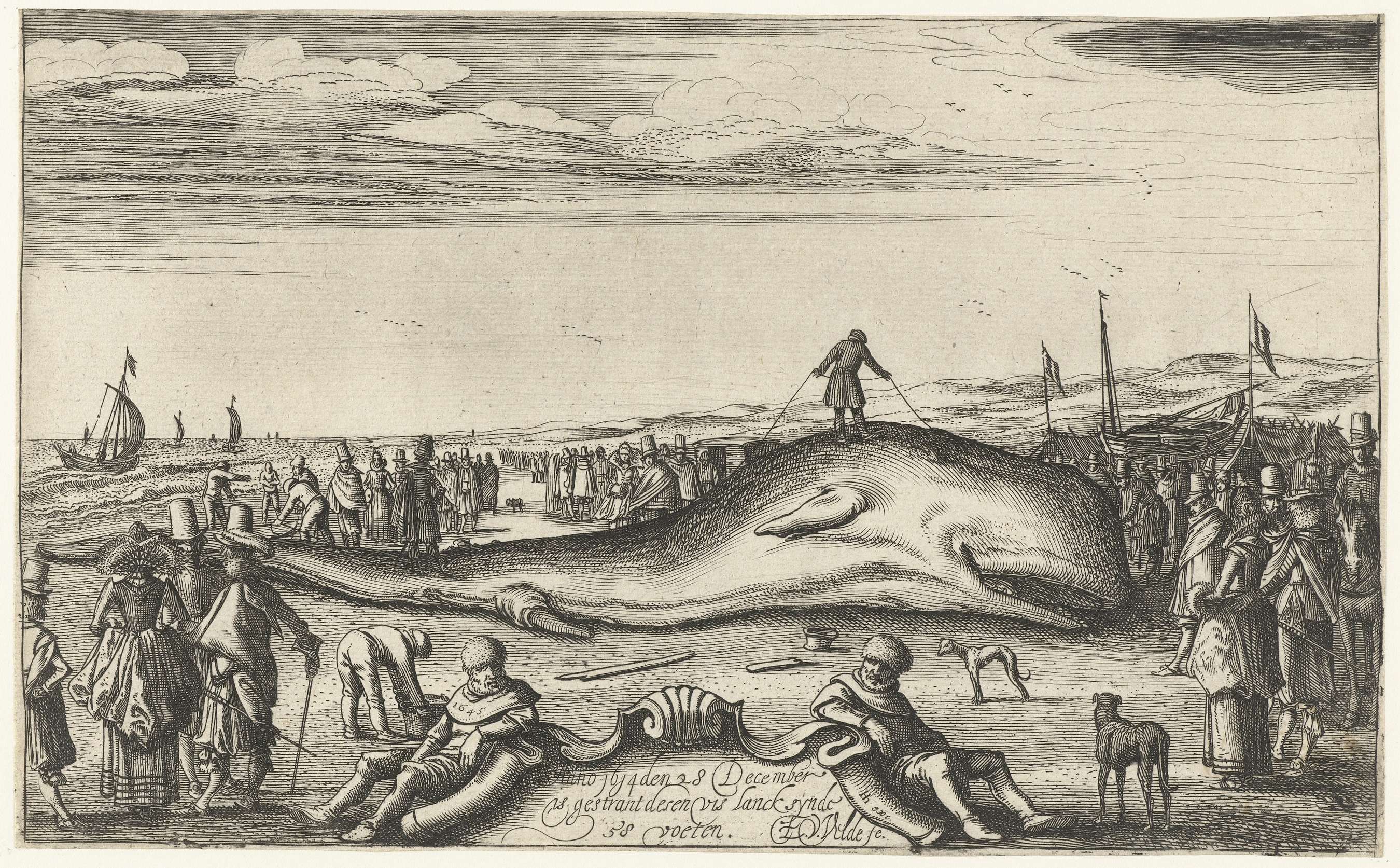 Gestrande potvis op het strand te Noordwijk, 1614, by Esaias van de Velde, public domain