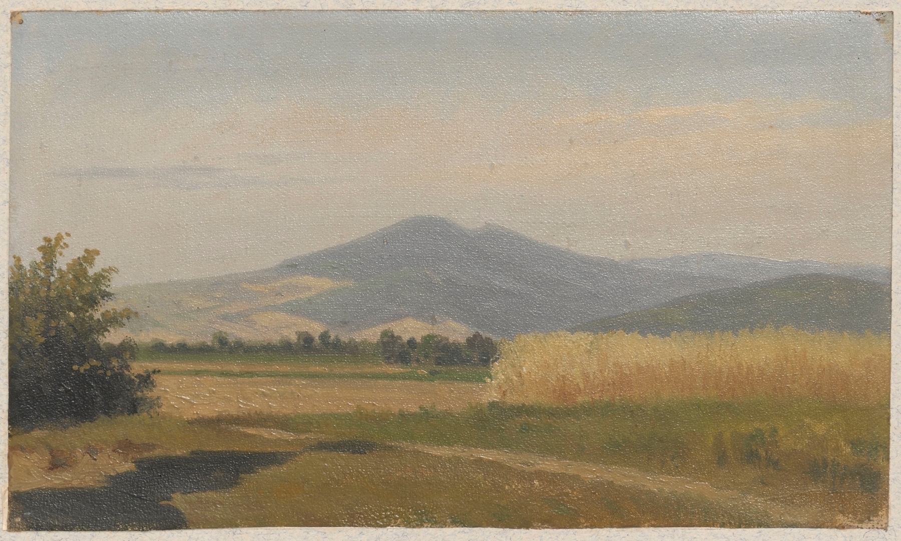 Farm fields and Mount Śnieżka landscape, oil on canvas by Arthur Blaschnik