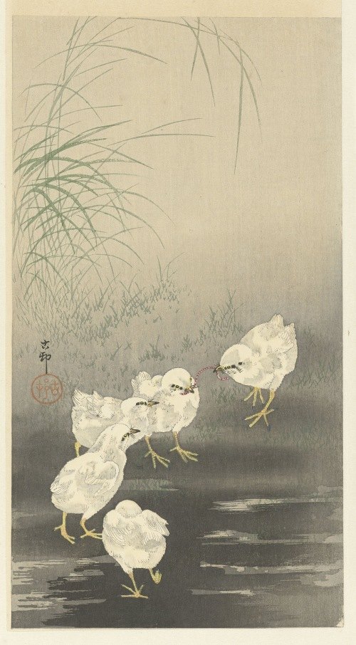 A charming woodblock print depicting chicks interacting with a worm.