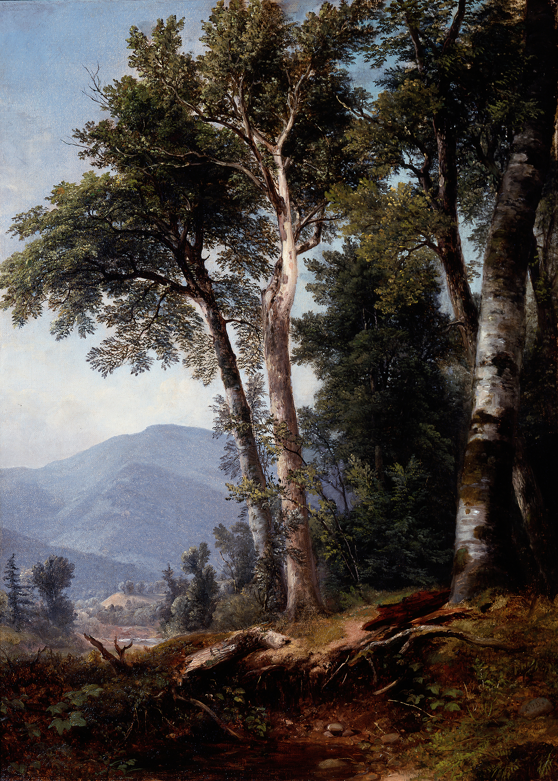 Woodland Landscape, by Asher Brown Durand, public domain