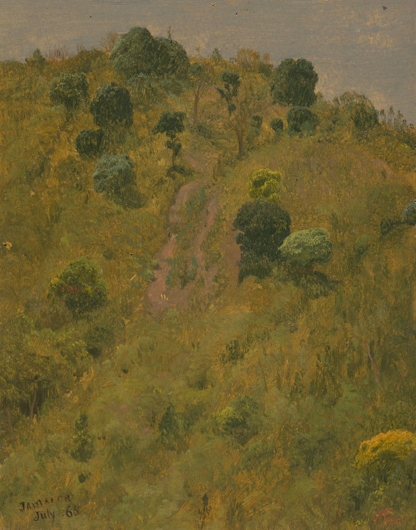 Landscape V by Frederic Edwin Church, oil painting depicting rolling hills and a luminous sky