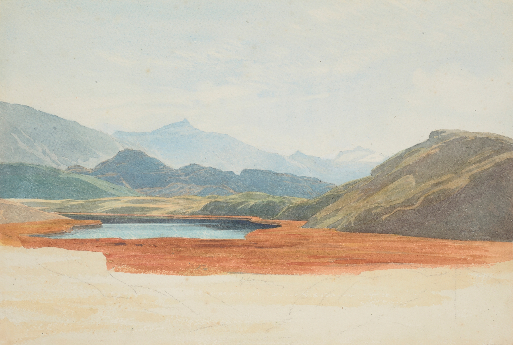 Lagoon, flowering Bulrushes, Wanaka by James Crowe Richmond, oil on canvas