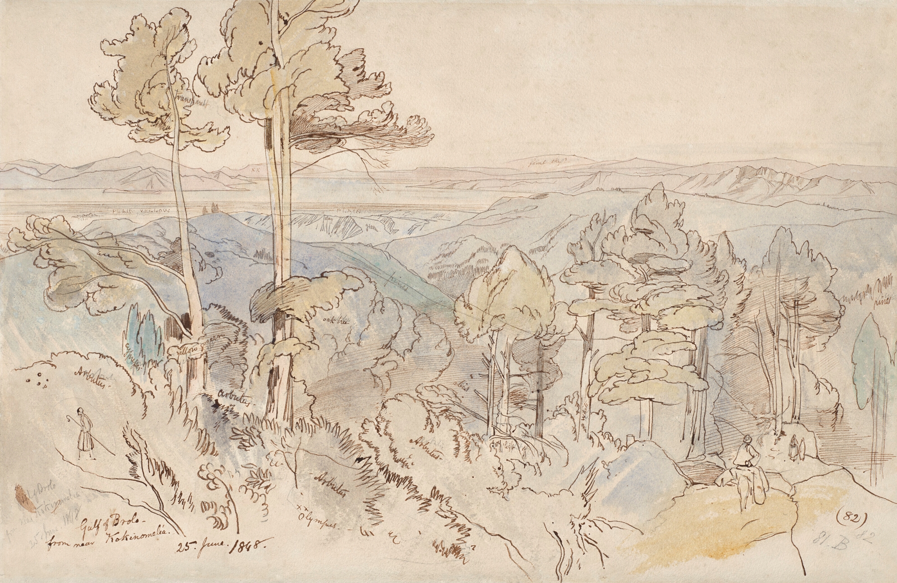 The Gulf of Brolo from near Kokkinomilia, by Edward Lear, public domain