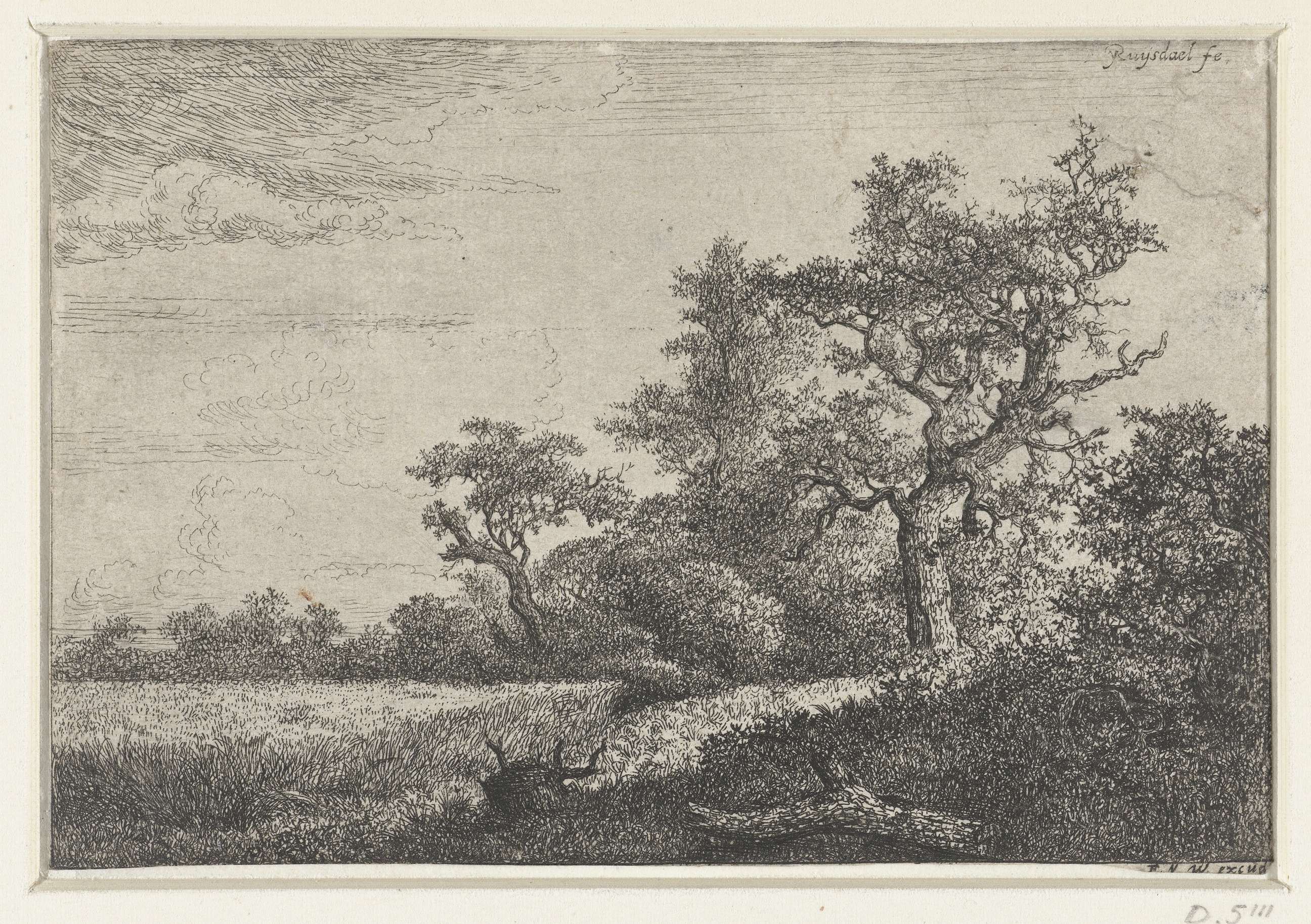 Het korenveld, by Jacob Isaacksz van Ruisdael, public domain