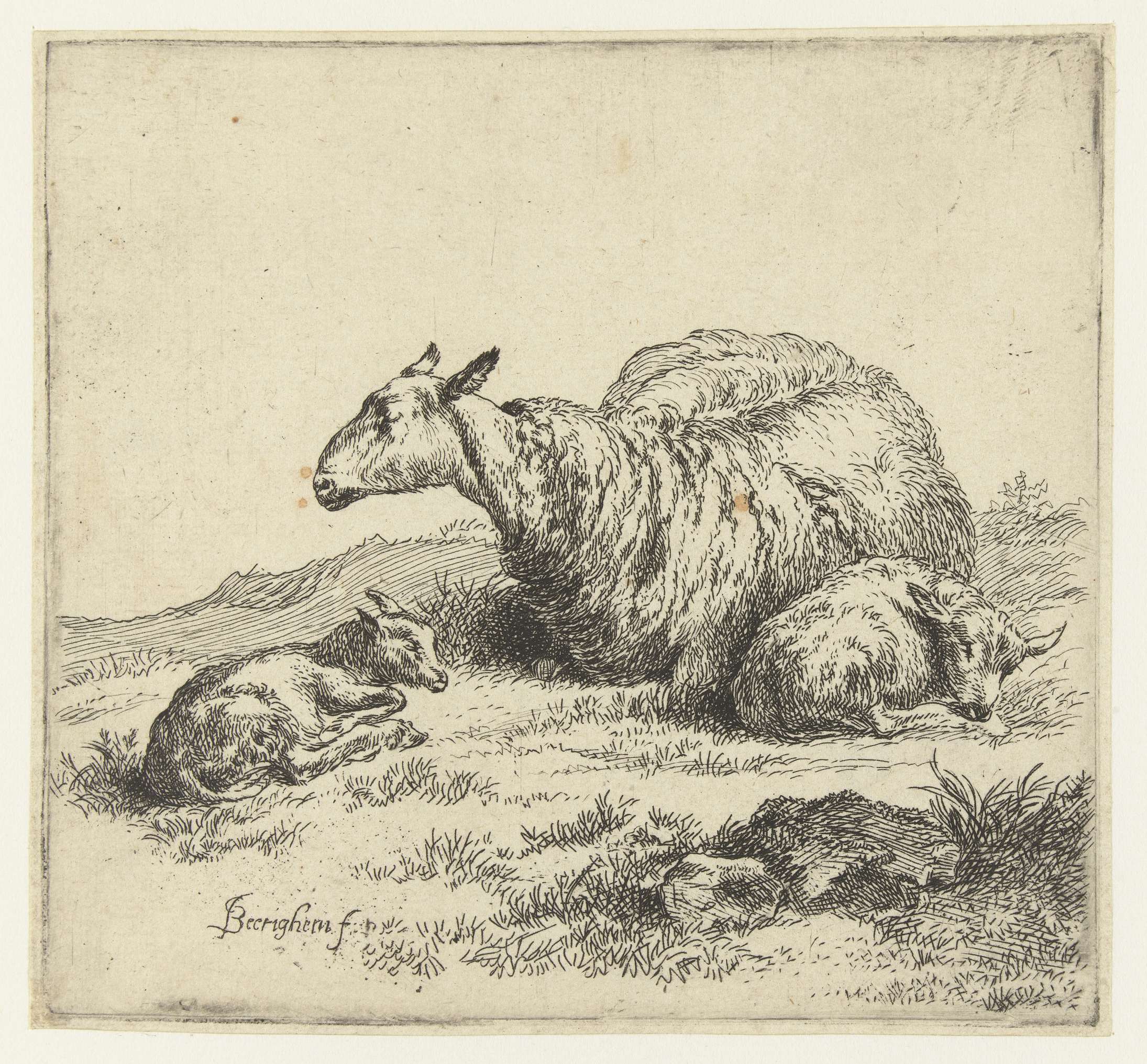 Etching by Nicolaes Pietersz Berchem of a shepherd with two lambs in a green landscape.