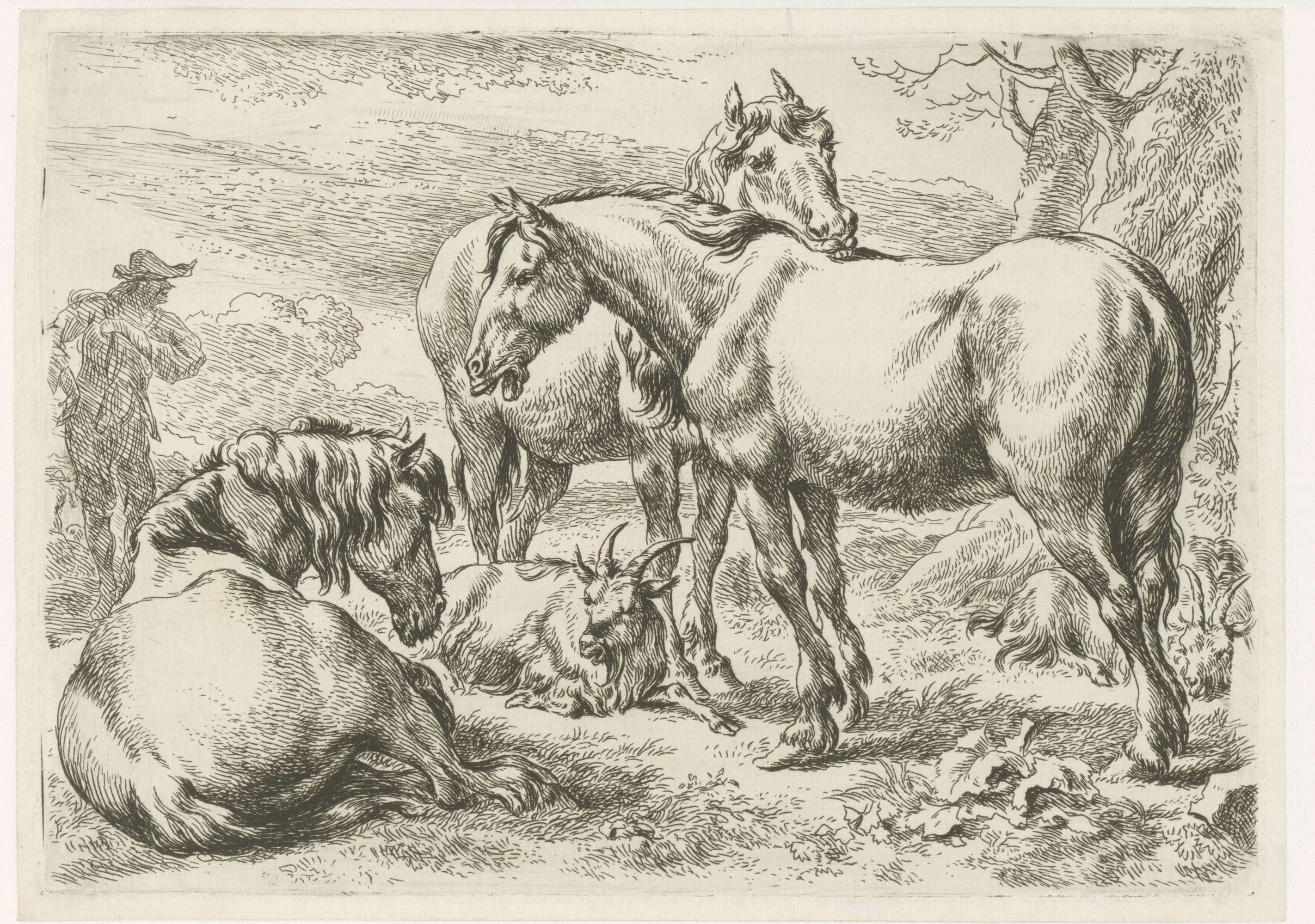 Three horses grazing in a landscape, etching by Nicolaes Pietersz Berchem