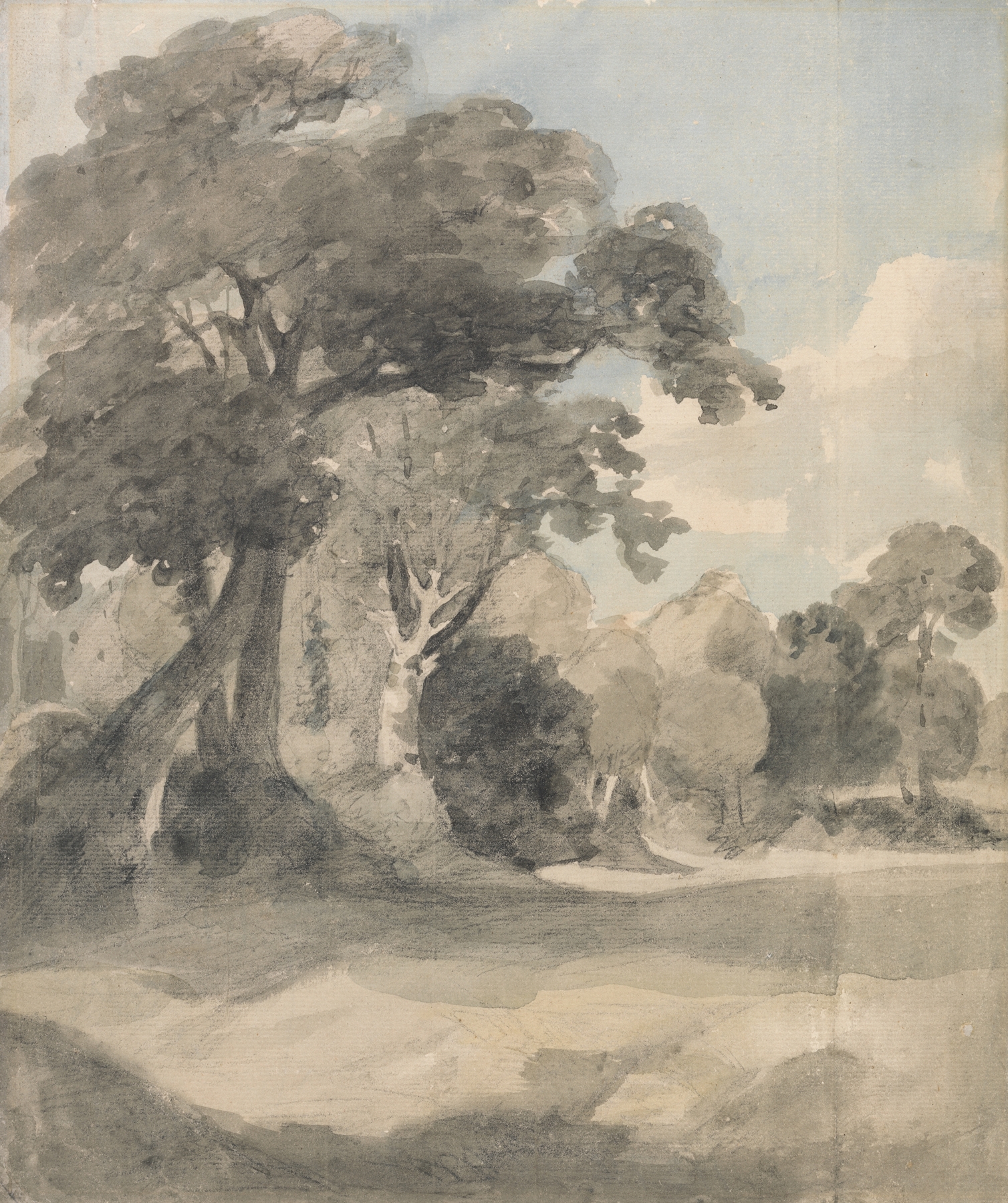 Trees in a Meadow by John Constable, oil painting depicting trees in sunlight