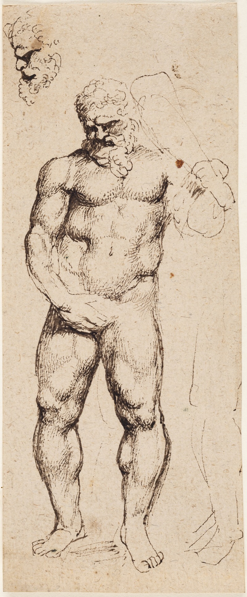 Peter Paul Rubens' painting 'Hercules' depicts the mythical hero in a dynamic pose.