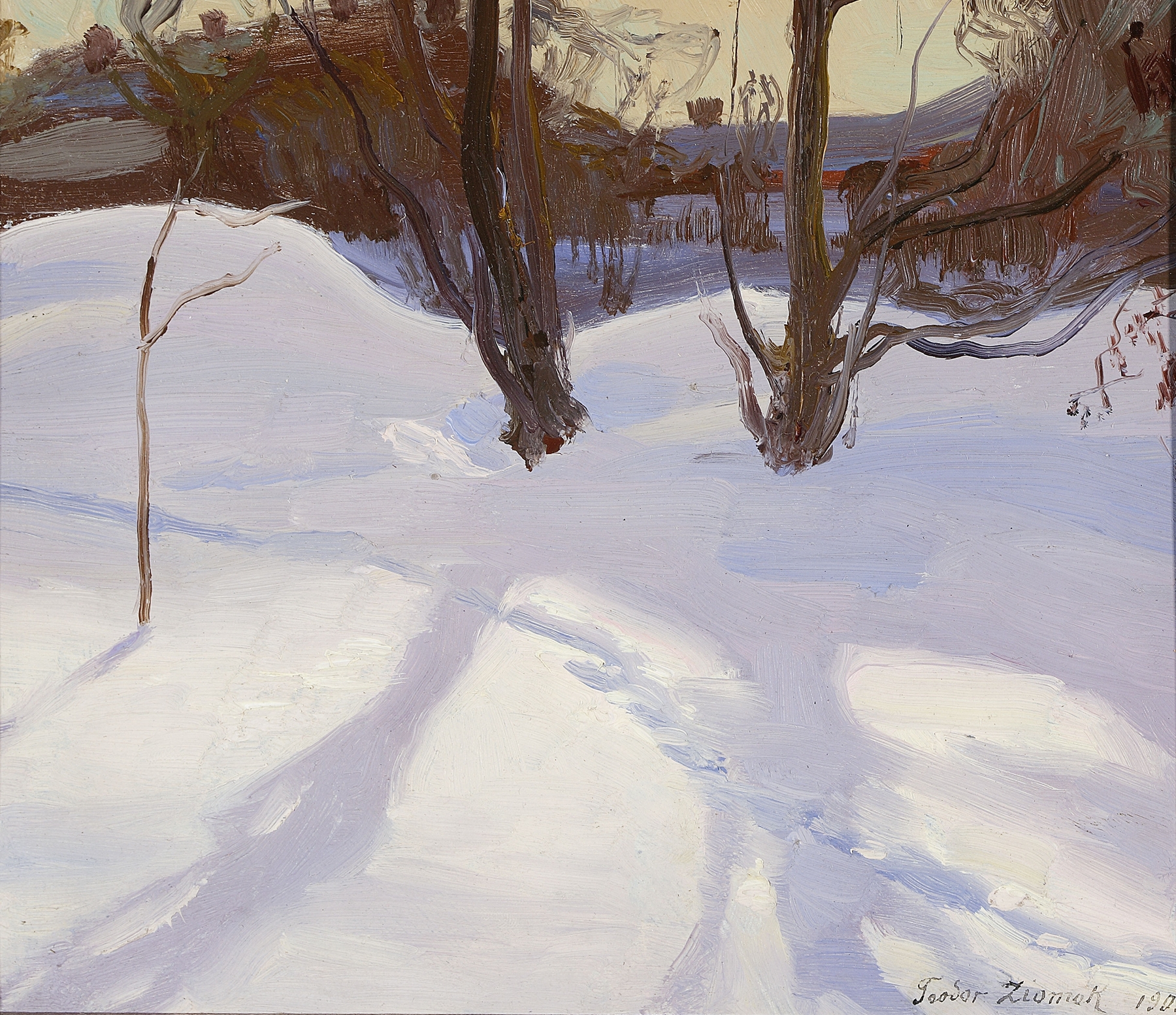 Winter landscape by Teodor Ziomek, oil painting depicting snow-covered trees and a distant horizon.