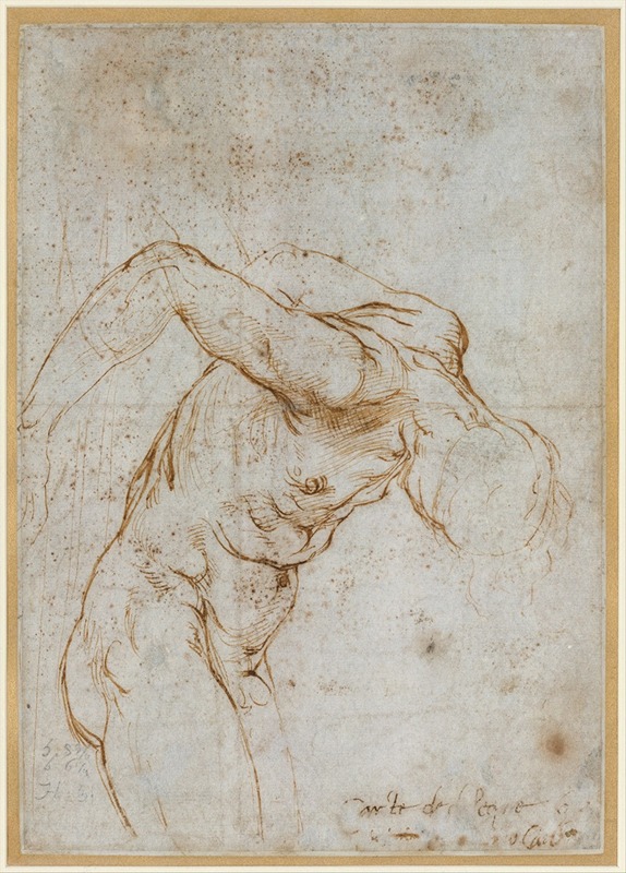 Raphael's 'Study of a Nude Male Figure' showcases the artist's mastery of the human form.