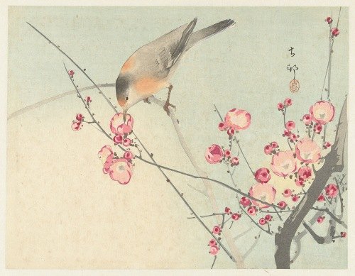 A beautiful depiction of a songbird perched on a blossom branch.