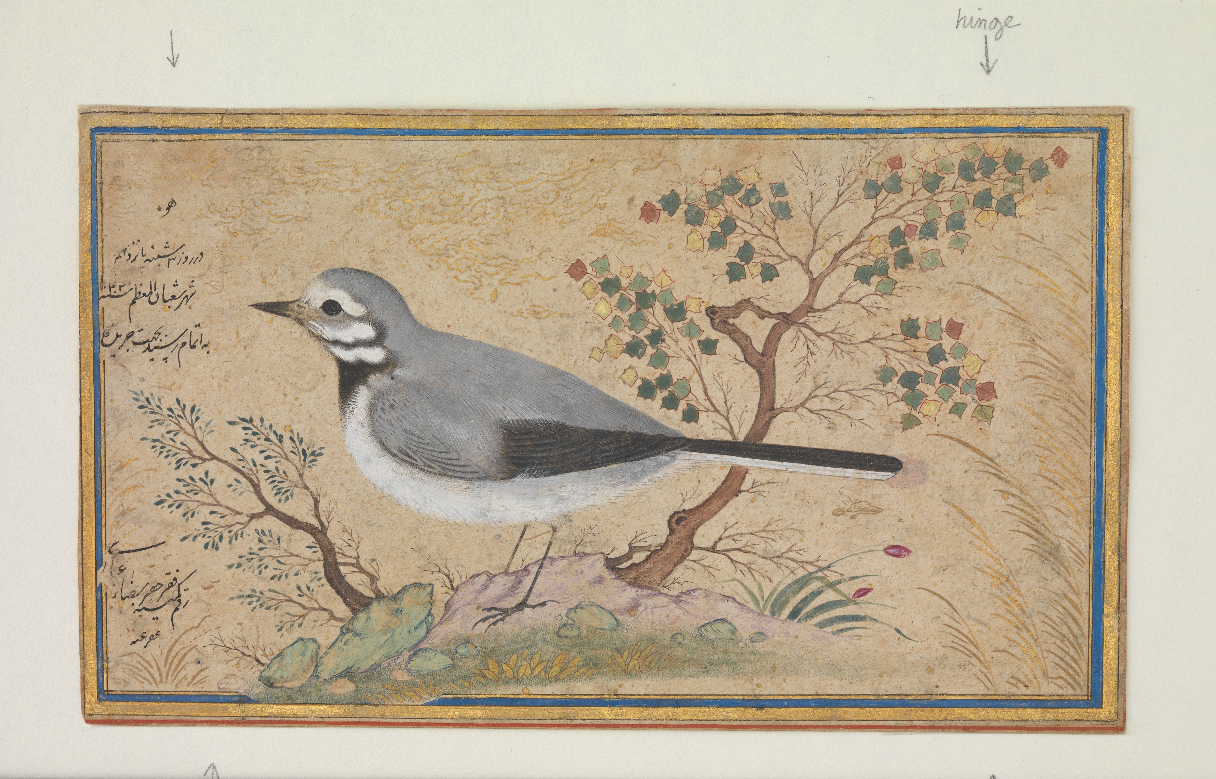 Study of a Bird by Riza-yi 'Abbasi, silver medium, featuring an elegant bird with intricate feathers.