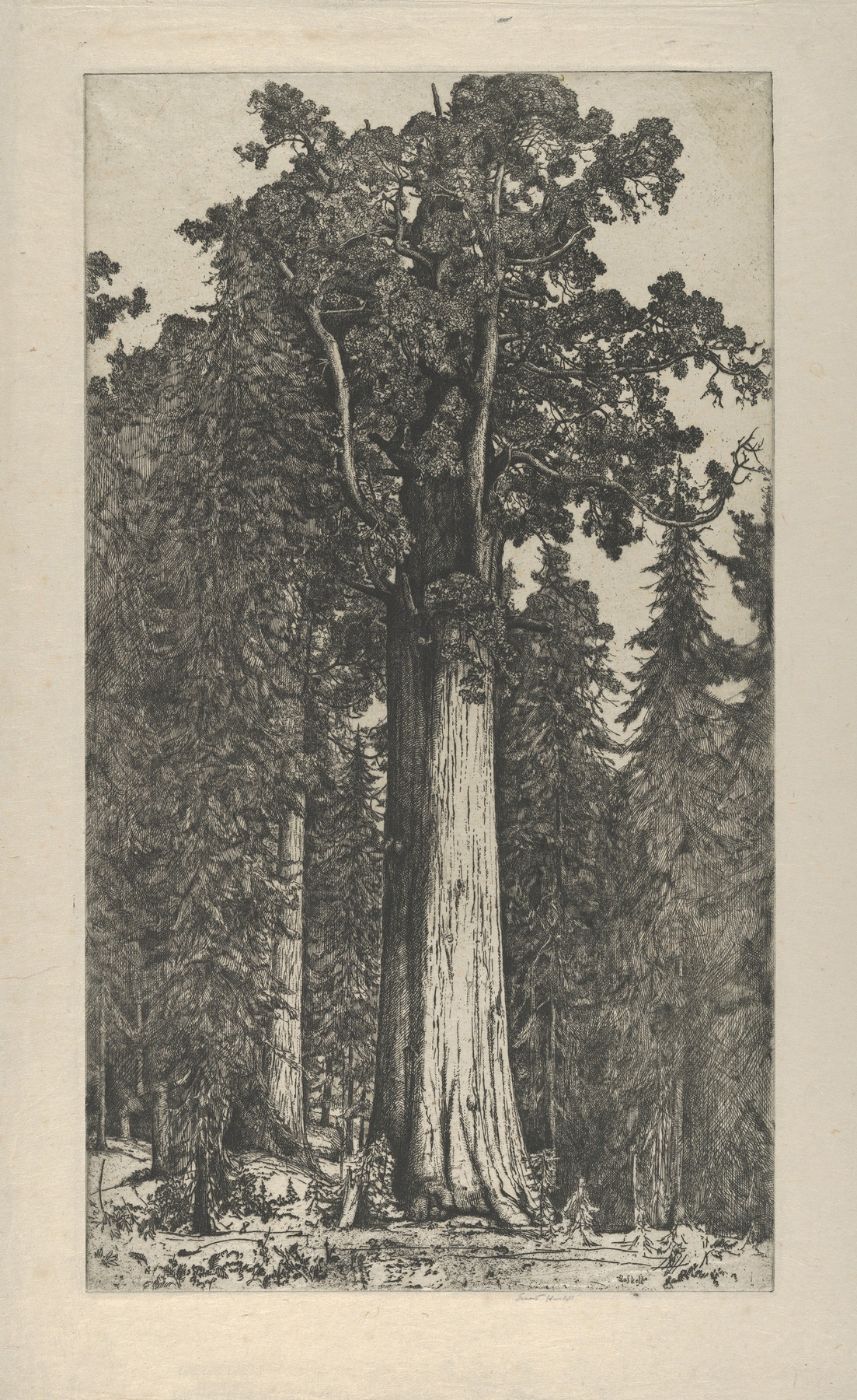 General Sherman, by Ernest Haskell, public domain