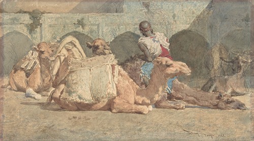 A serene scene of camels resting in Tangiers, showcasing the beauty of the desert landscape.