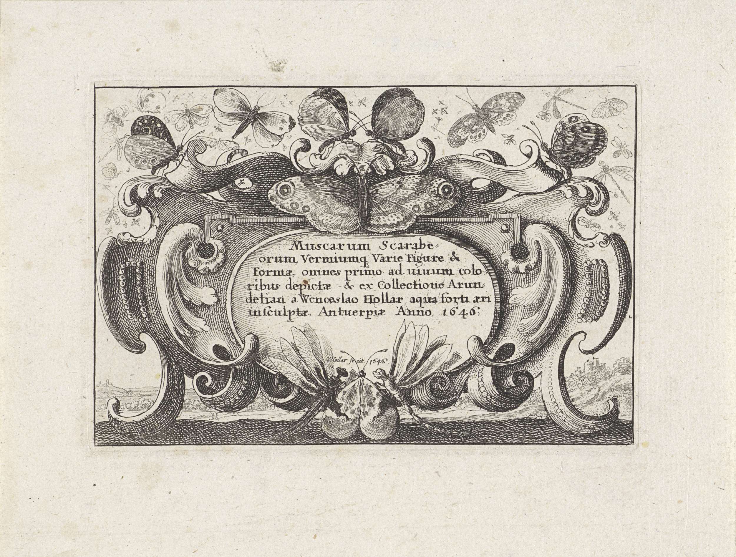 Titelprent in cartouche voor een serie met verschillende insecten, by Wenceslaus Hollar, public domain