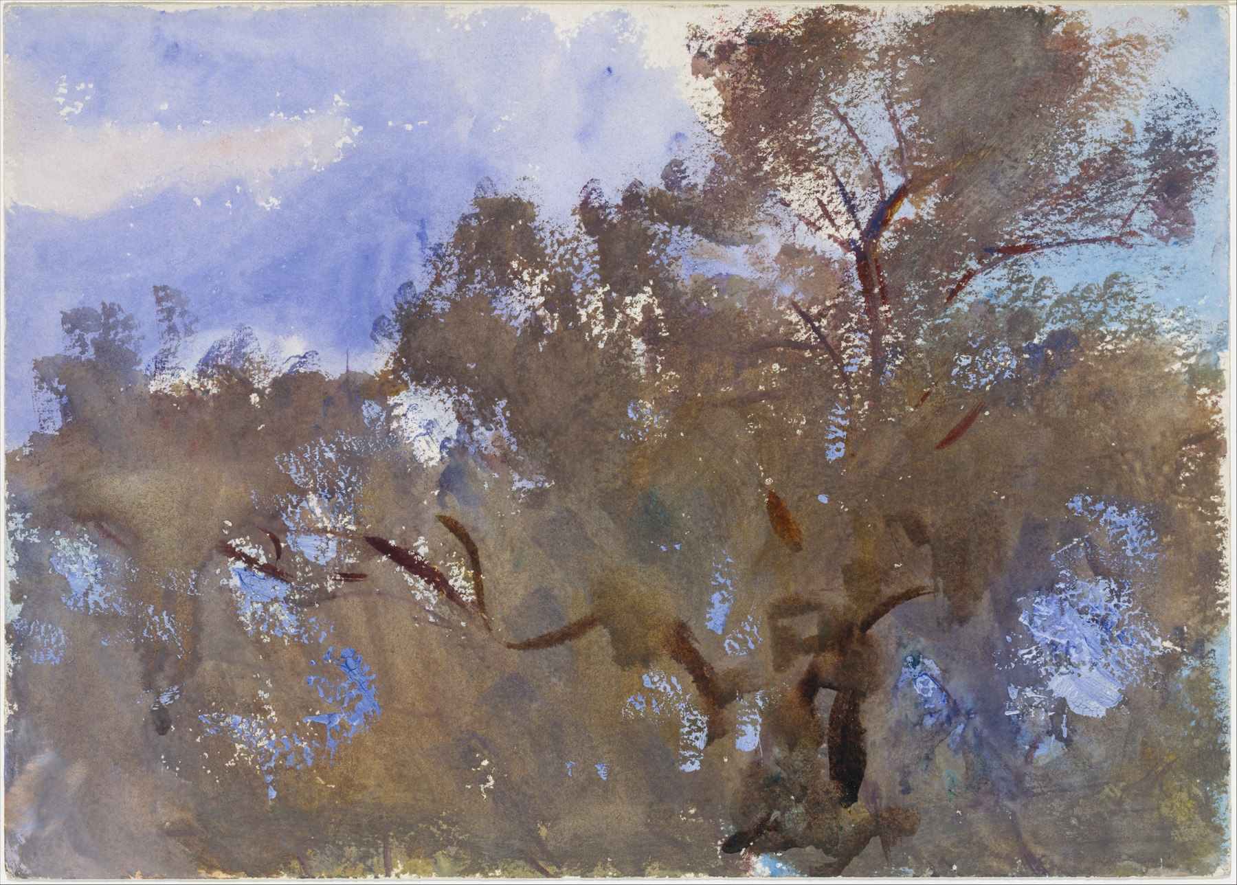 Treetops against Sky by John Singer Sargent, oil on canvas depicting vibrant treetops and sky.