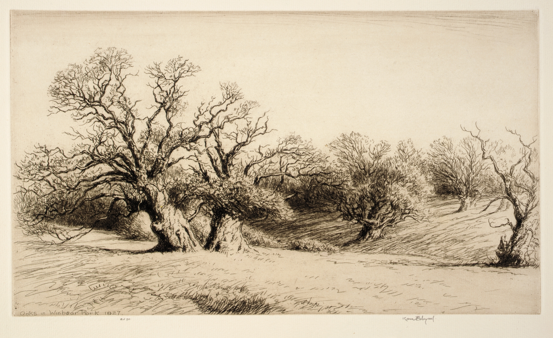 Oaks in Windsor Park by Kerr Eby, etching depicting a serene landscape with majestic oaks and dappled sunlight.