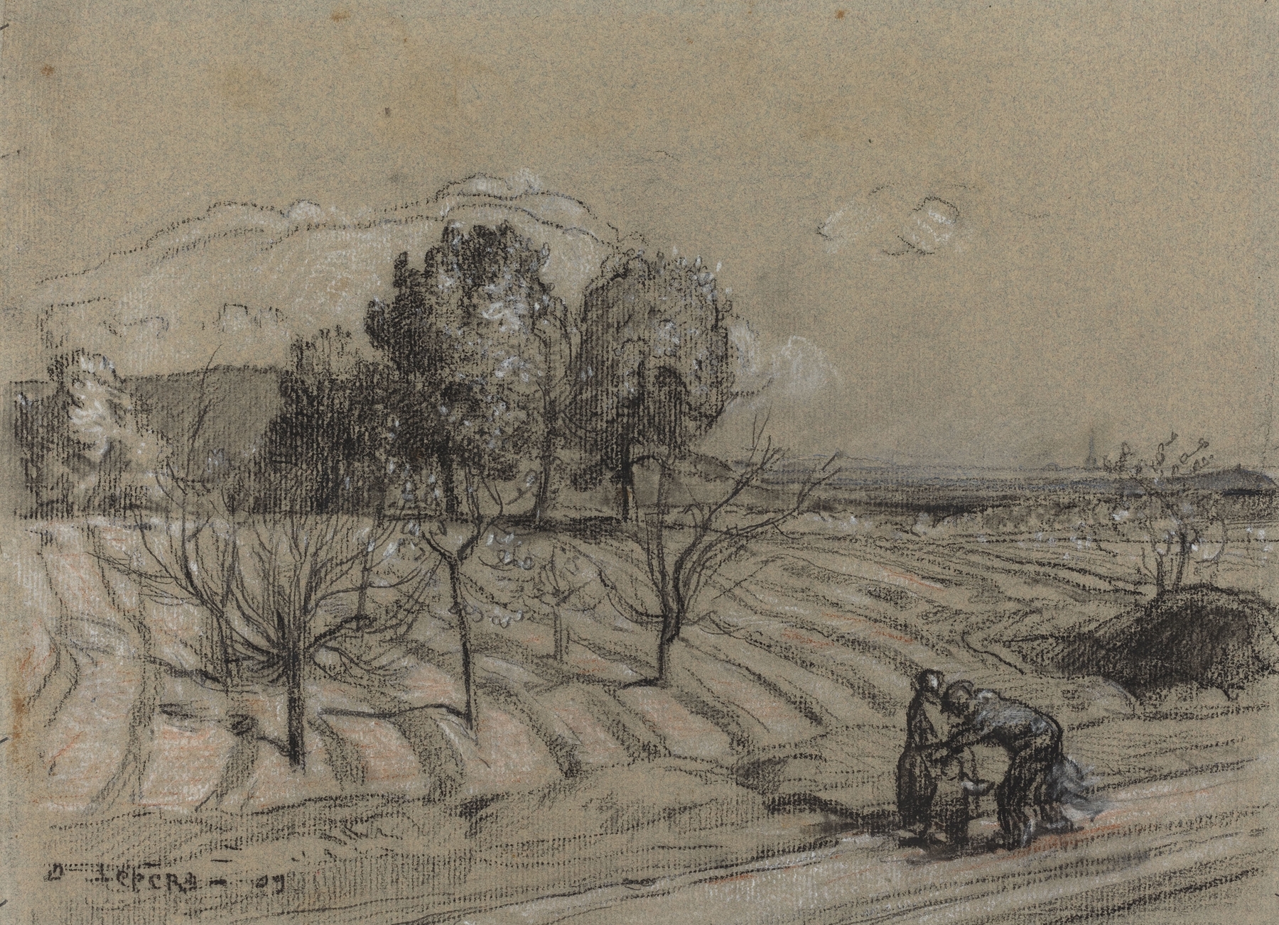 Etching by Auguste Louis Lepère featuring delicate blossoms and greenery