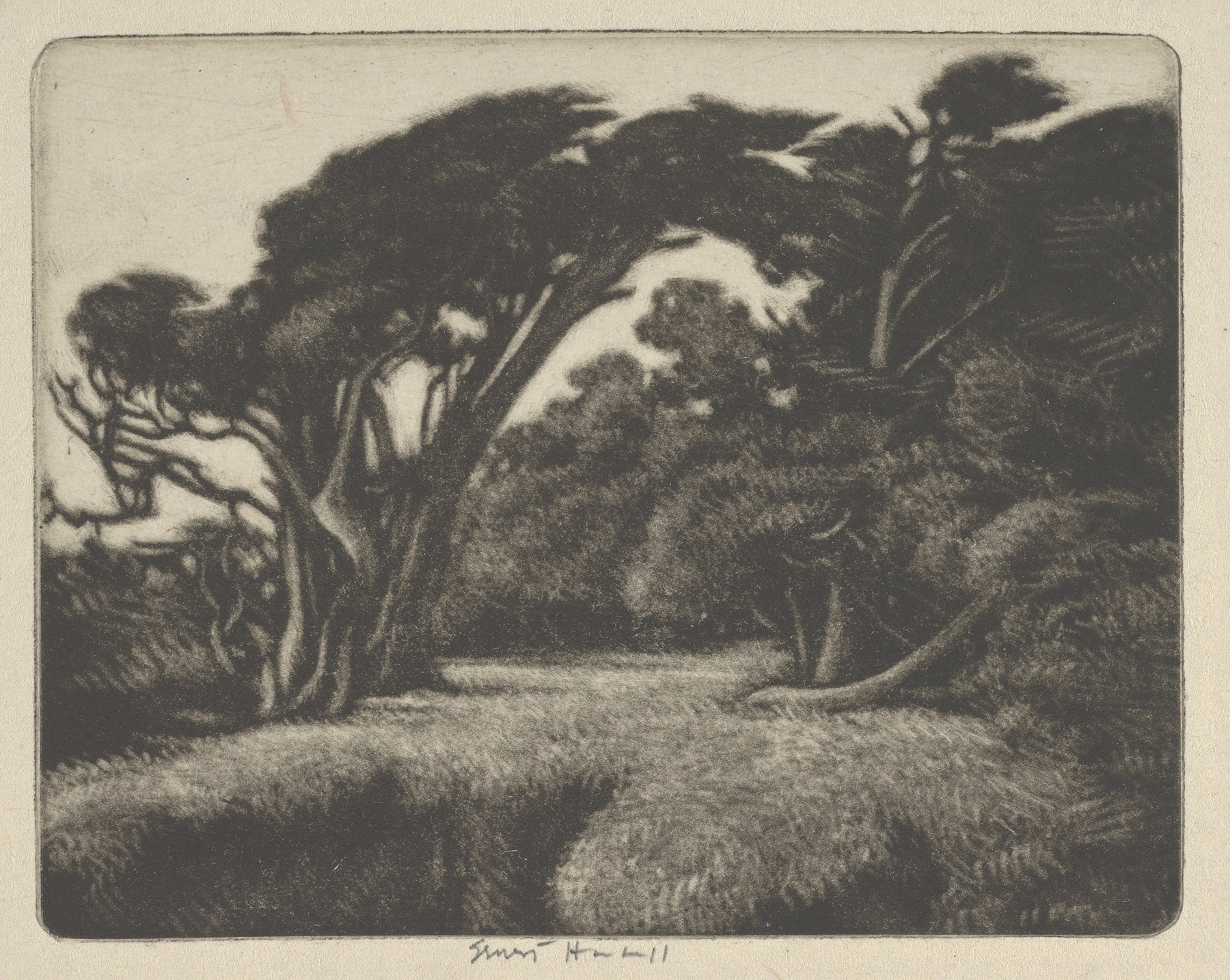 Cypress Bower by Ernest Haskell, depicting cypress trees in a serene landscape.