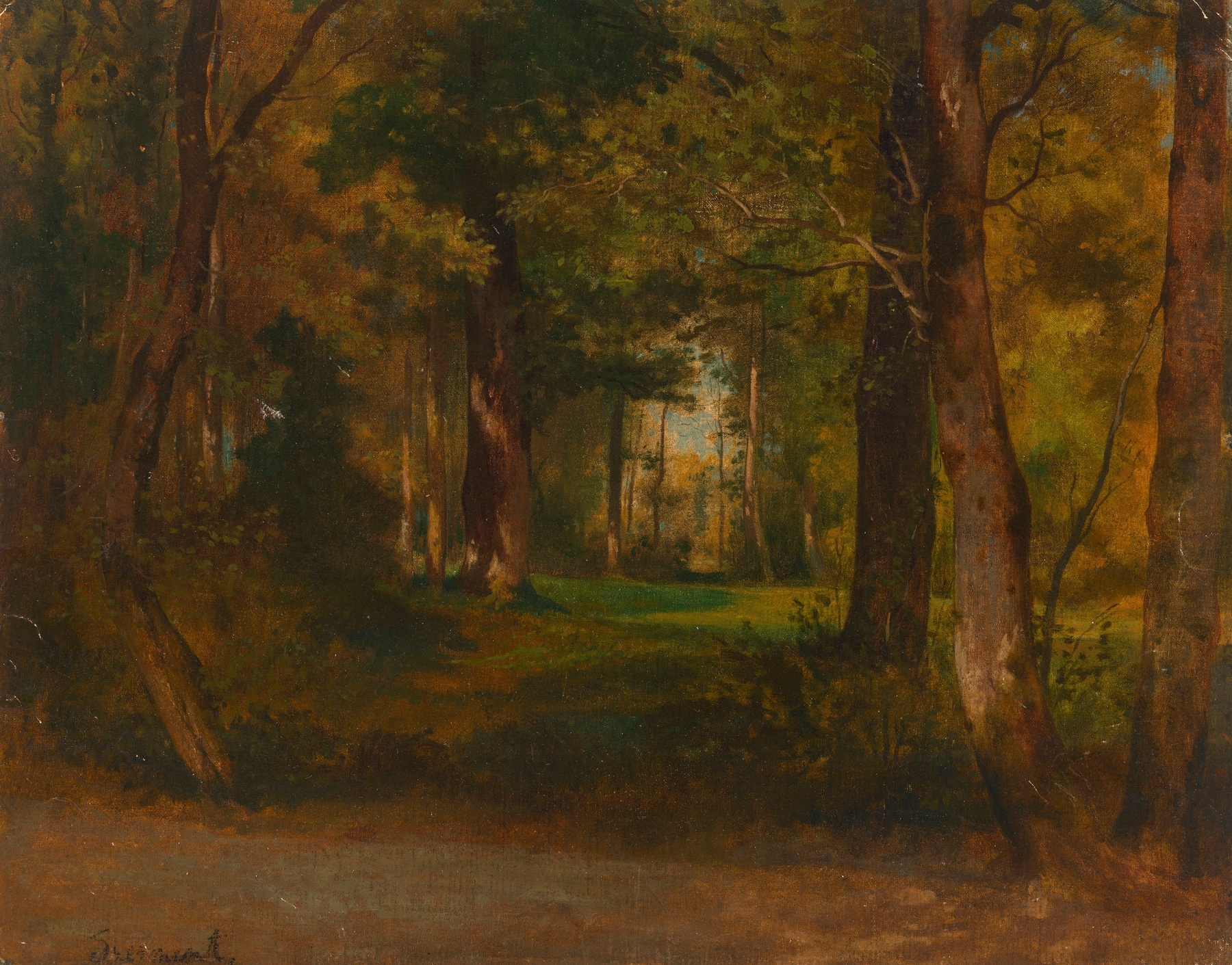 Forest scene with trees and dappled light, oil painting by Józef Szermentowski