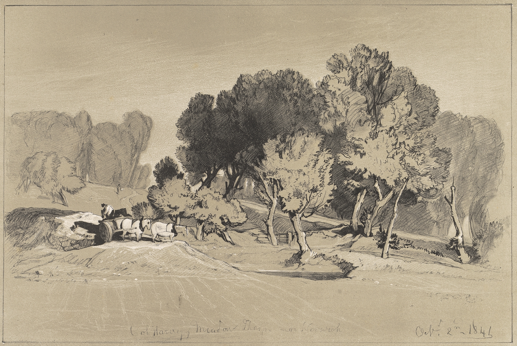 Landscape of a meadow with grass by Miles Edmund Cotman, medium unknown