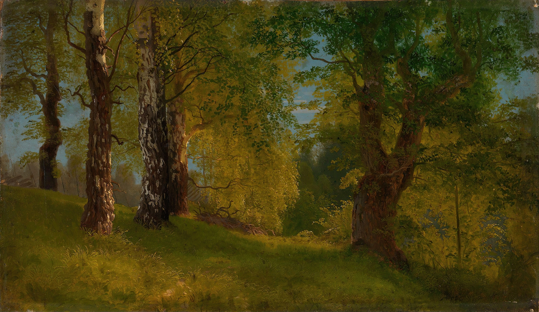 Study of a Wood by August Cappelen, oil on canvas depicting a serene forest landscape.