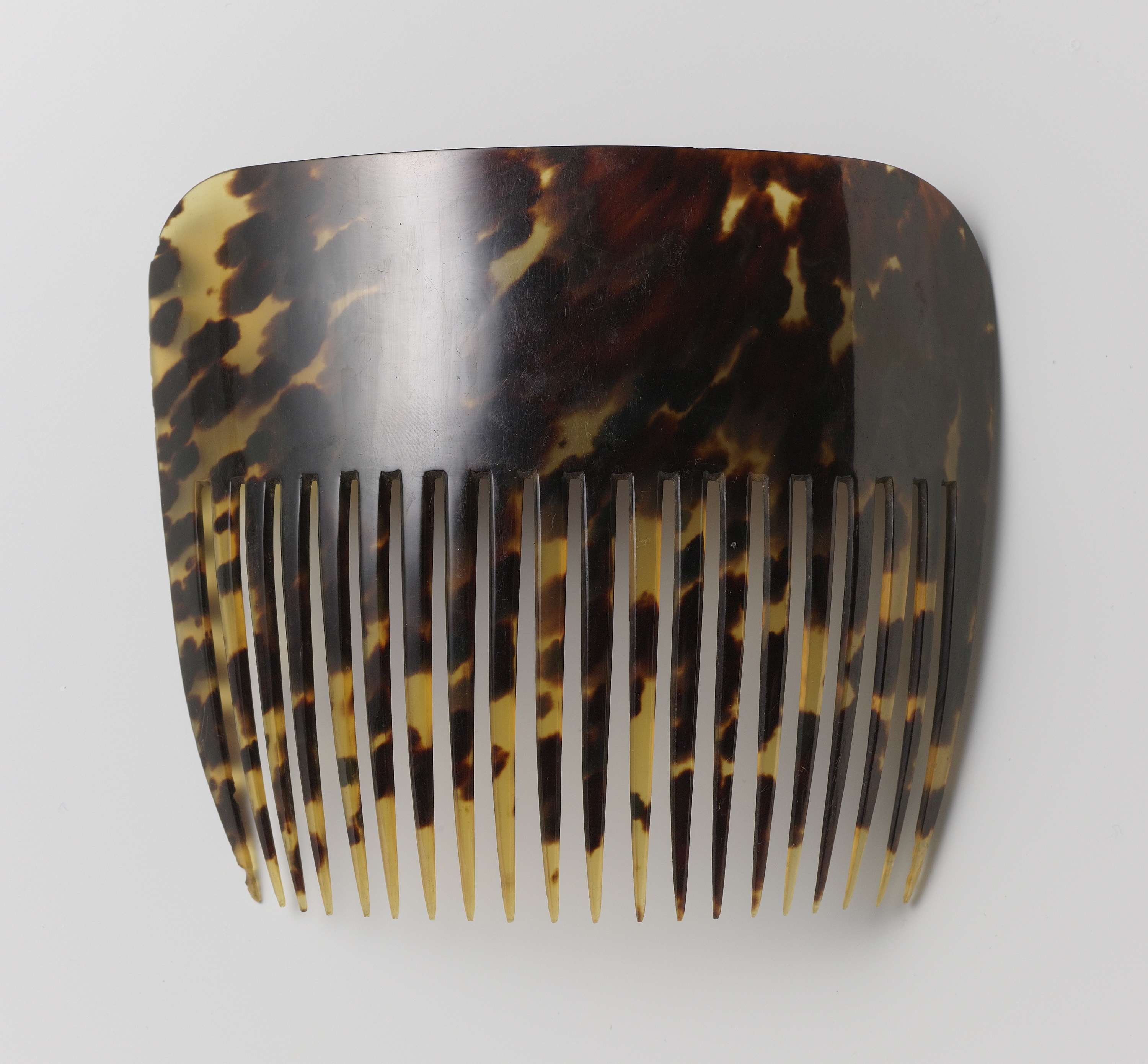 Tortoiseshell comb with twenty carved teeth by Unknown Artist