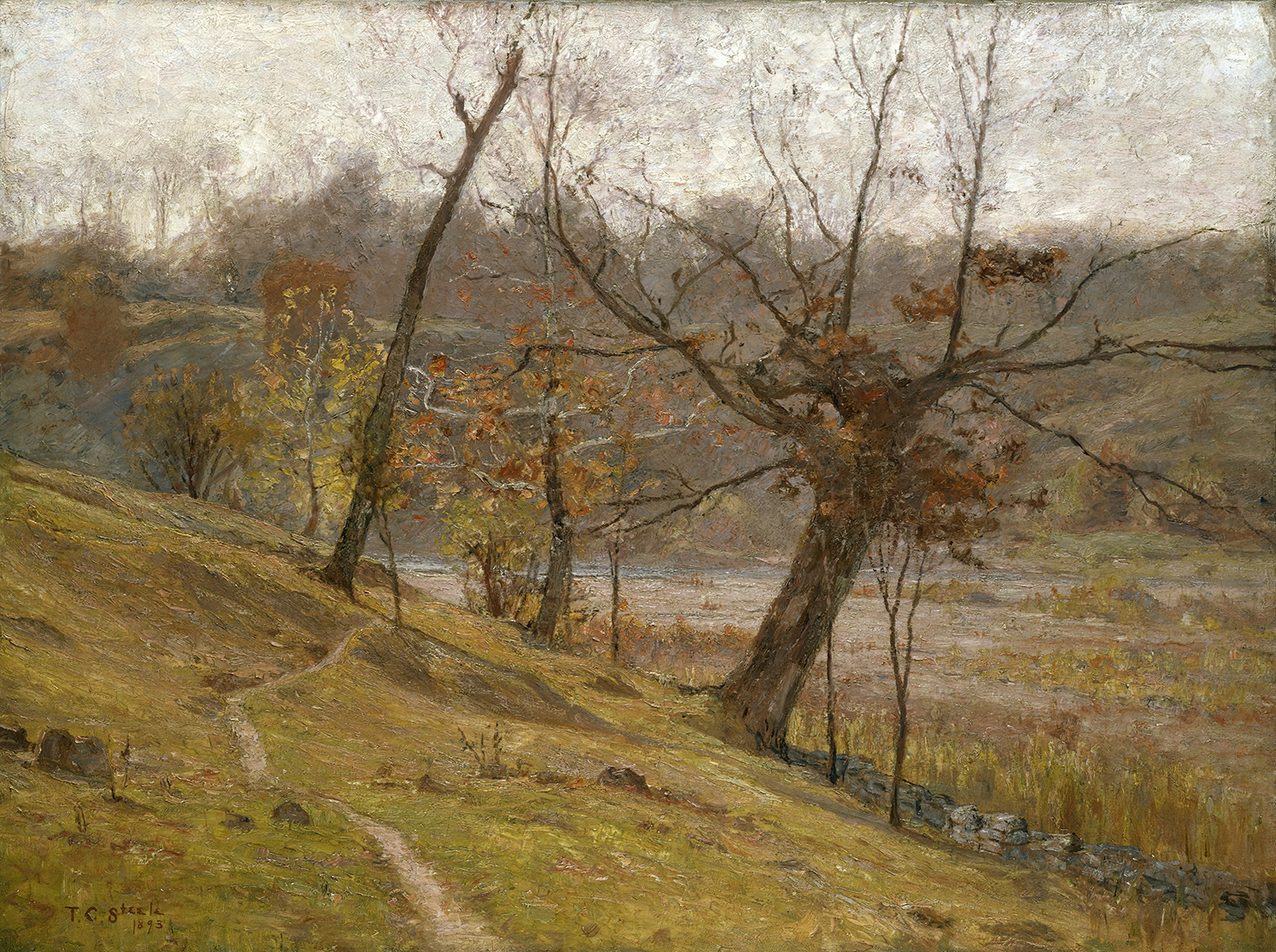 The Bloom of the Grape by Theodore Clement Steele, oil on canvas, depicting grapes and lush greenery.
