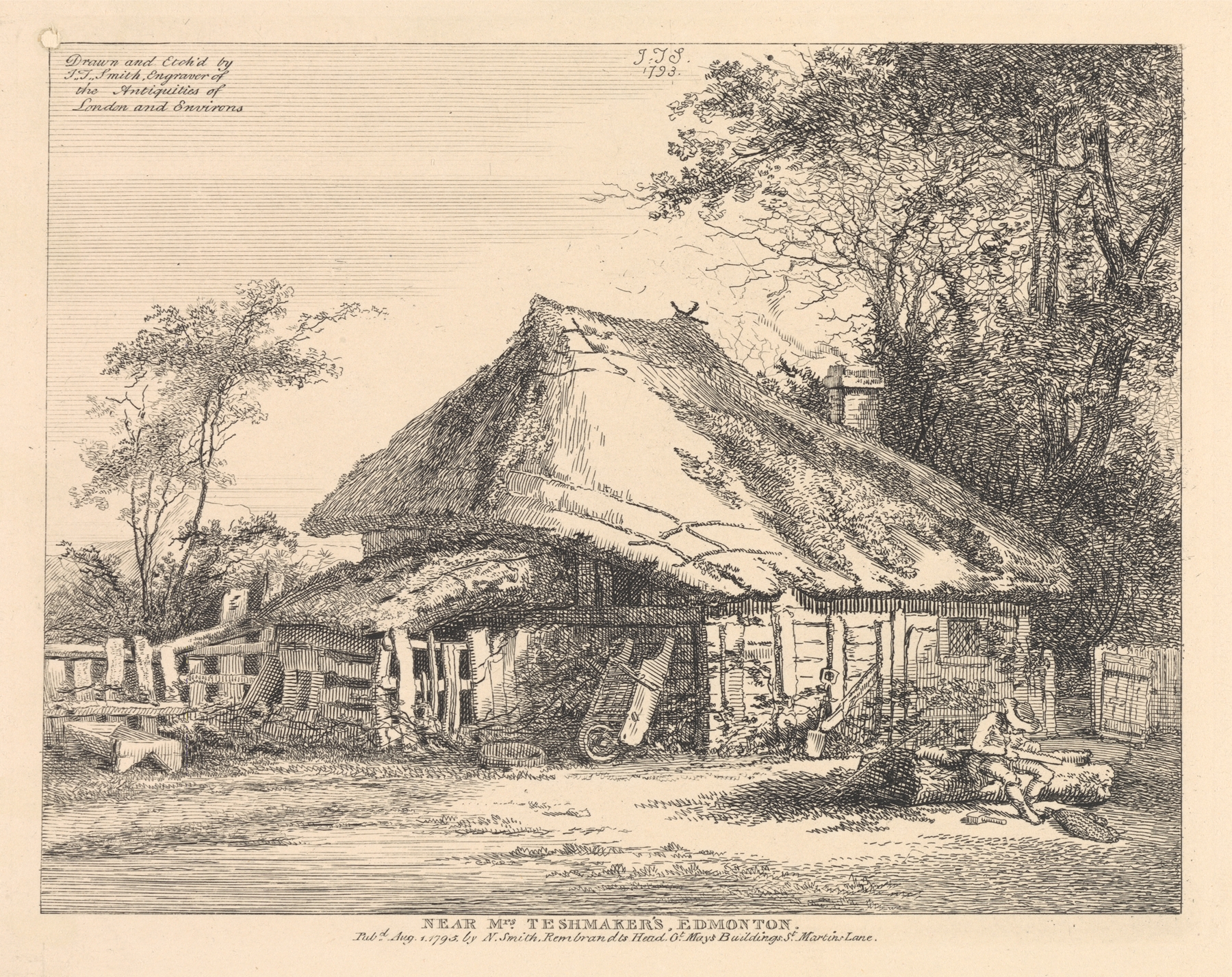 Landscape with wild vegetation by John Thomas Smith, 1795