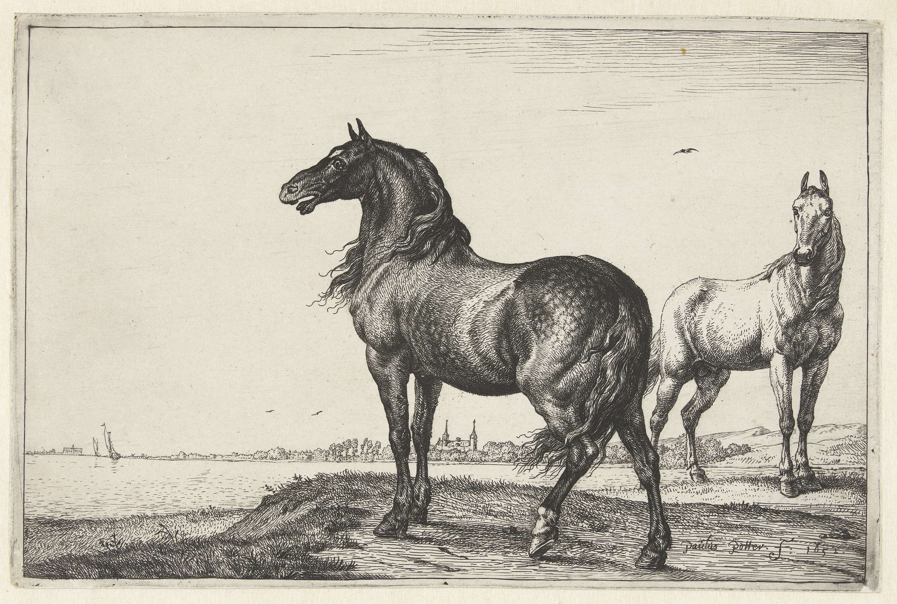 Hinnikend paard, by Paulus Potter, public domain