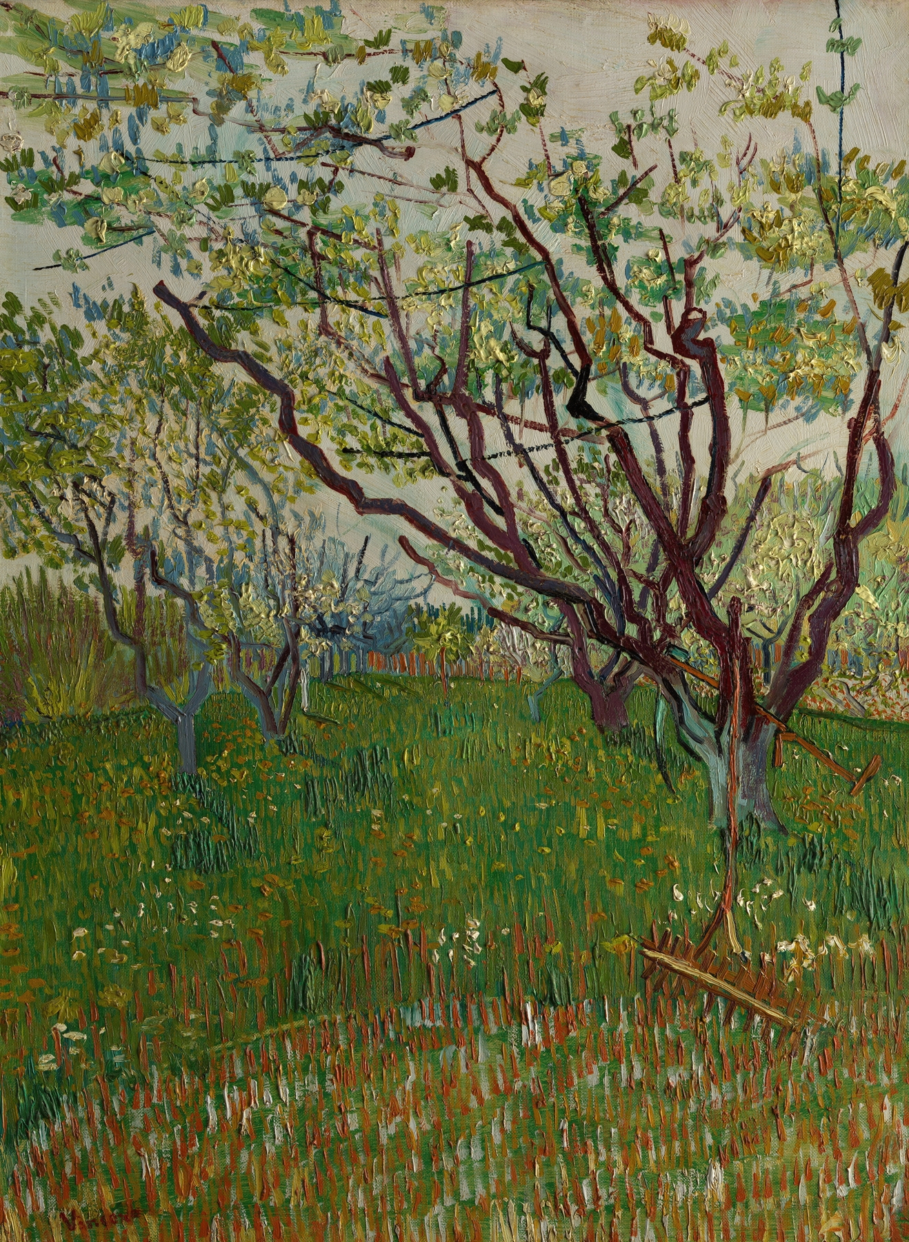 The Flowering Orchard by Vincent van Gogh, oil on canvas featuring pink and white blossoms.