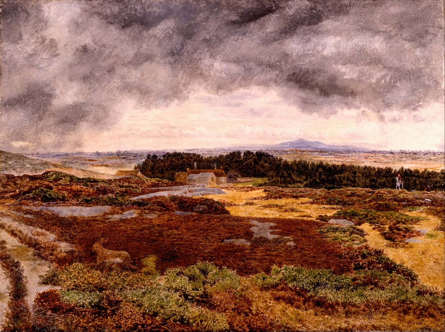 Landscape view with greenery and horizon by William Davis, oil on canvas