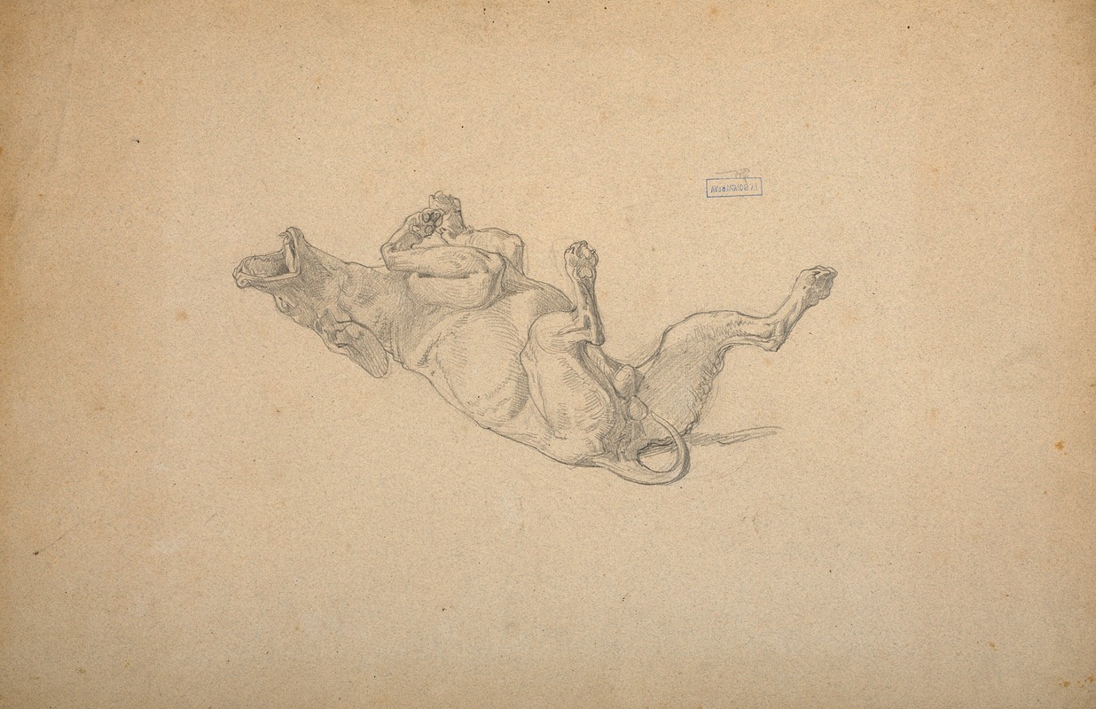 Study of dog by William Bouguereau