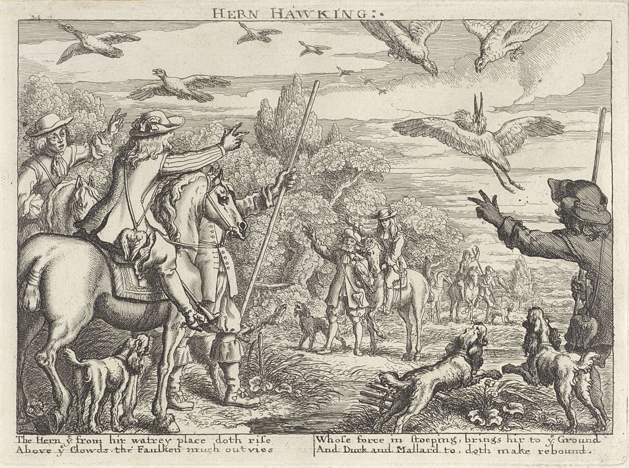 Valkenjacht op reigers en eenden, by Richard Gaywood, public domain