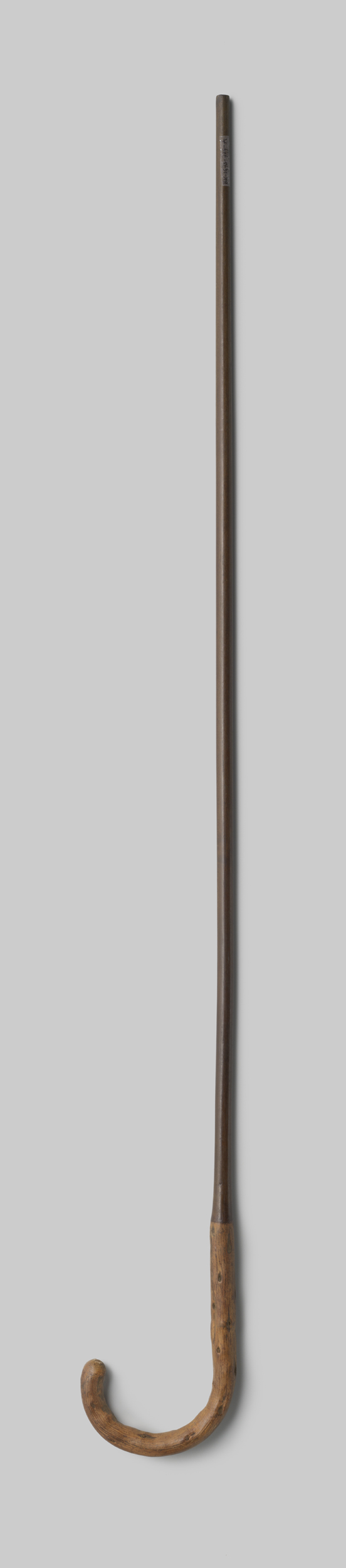 Wood sculpture of a colored maple umbrella handle by Gustav Schnitzler
