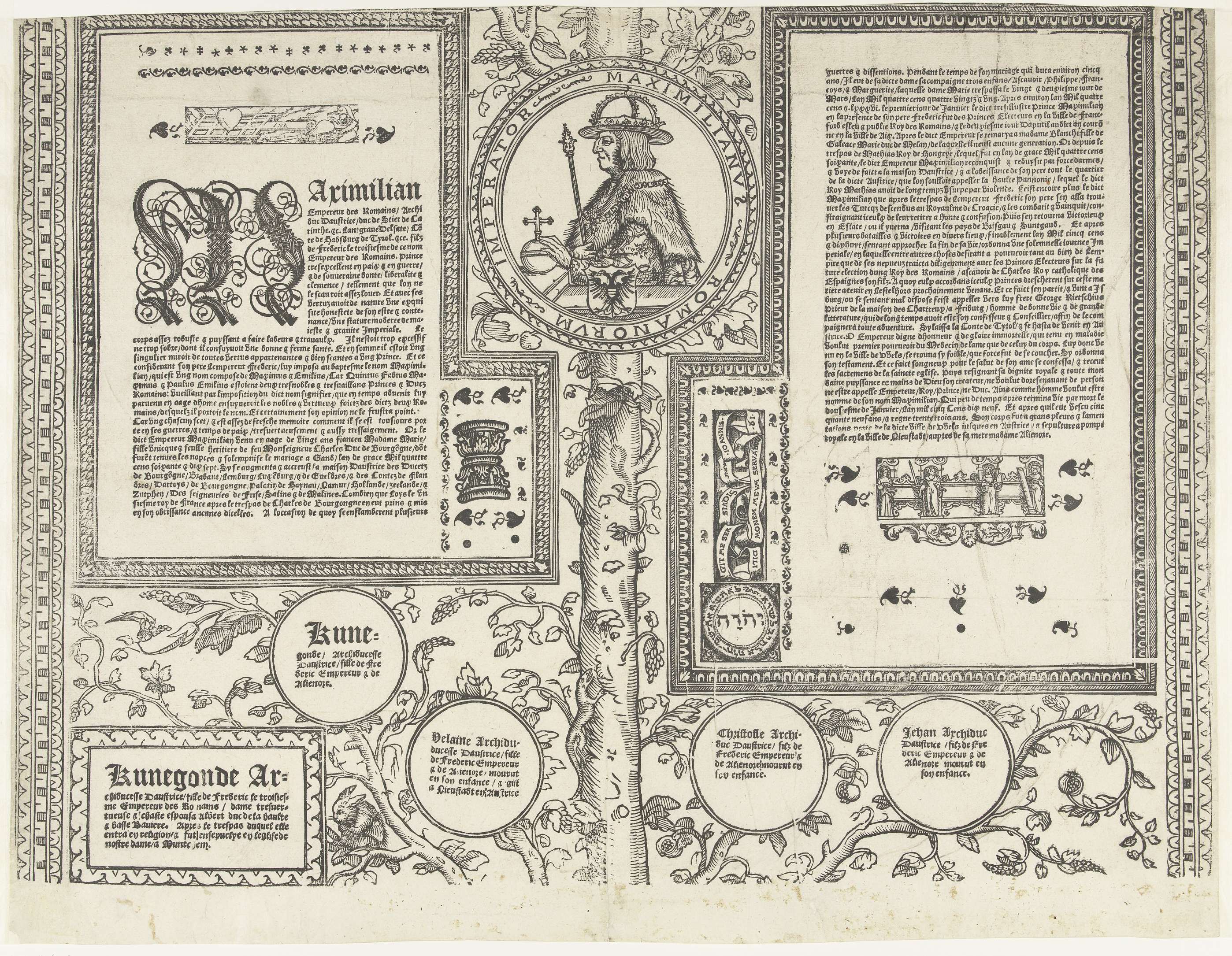 Genealogical tree of the Habsburg family, paper by Robert Péril