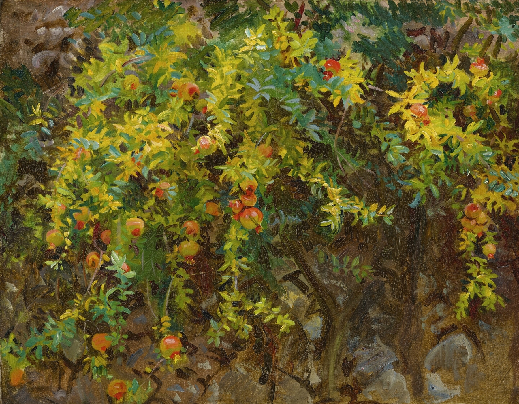 Still life of pomegranates on white cloth by John Singer Sargent, oil painting