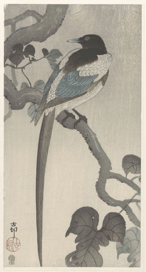 A beautiful depiction of a magpie perched on a tree branch.