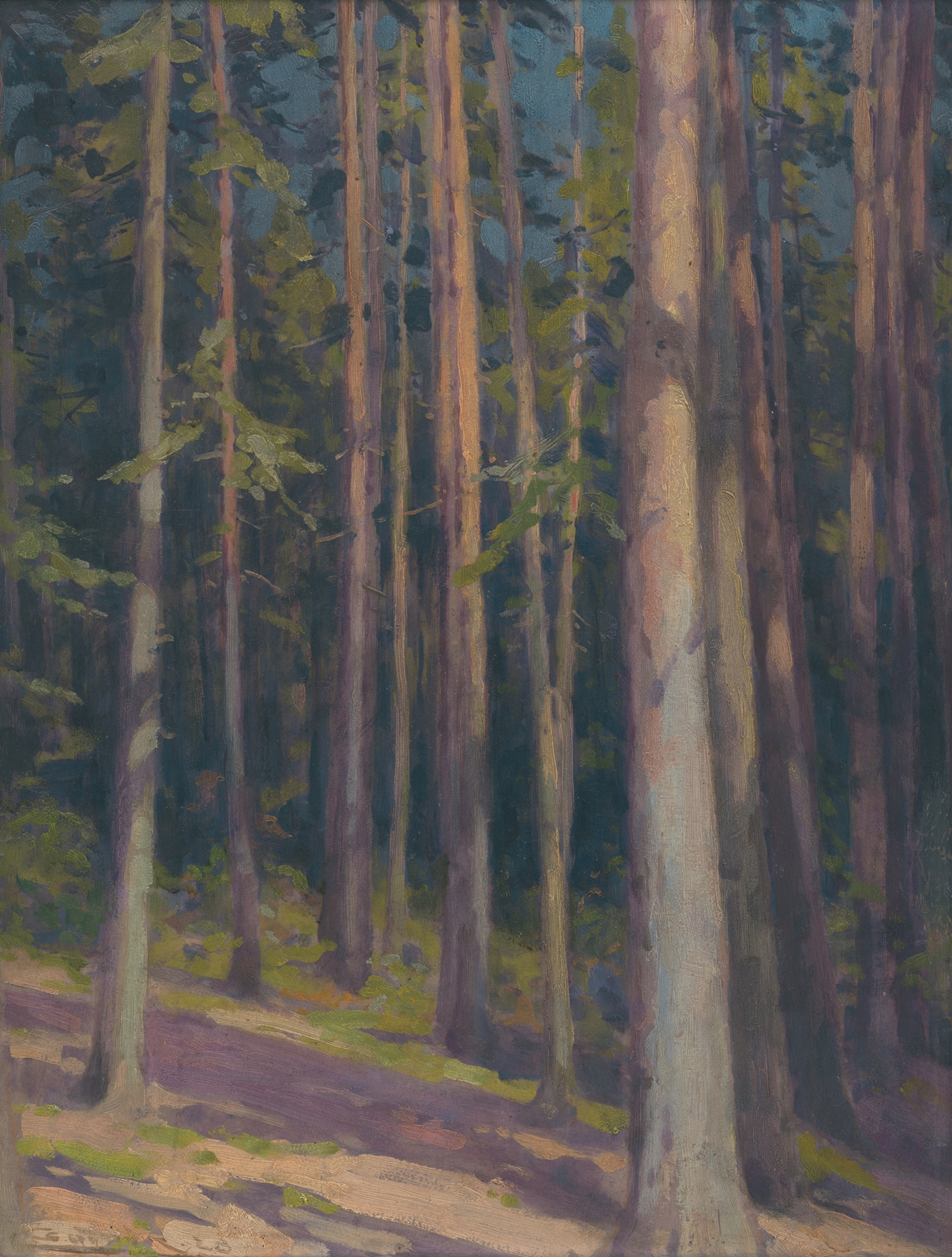 Fir forest, by Ľudovít Čordák, public domain