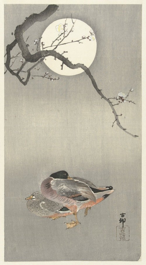A serene depiction of ducks under a full moon.