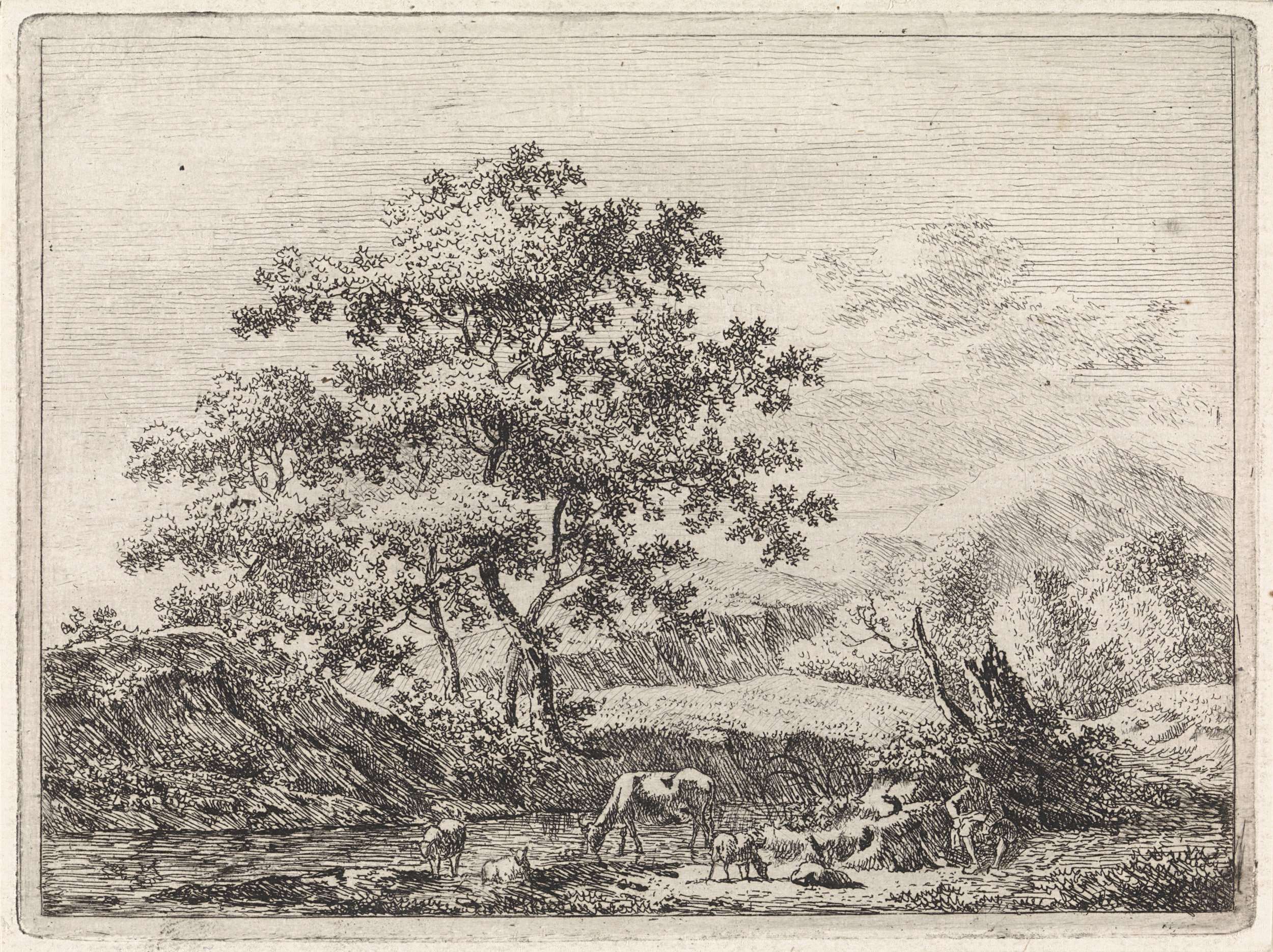 Herder met vee bij rivier, etching by Johannes Christiaan Janson depicting a herder with cattle by a river.