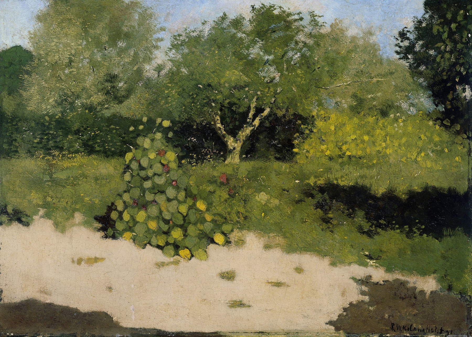 Botanical scene with nasturtiums by Richard Nicolaüs Roland Holst, oil painting