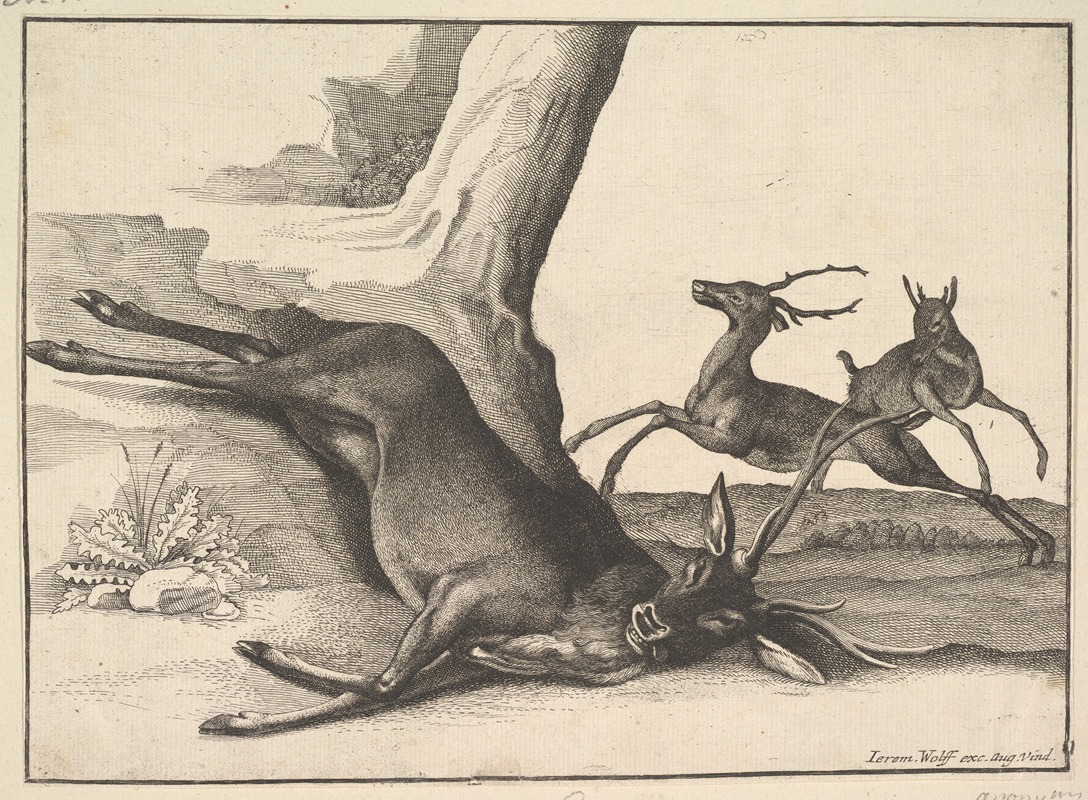 A dead stag lies on the ground, surrounded by foliage and natural elements.