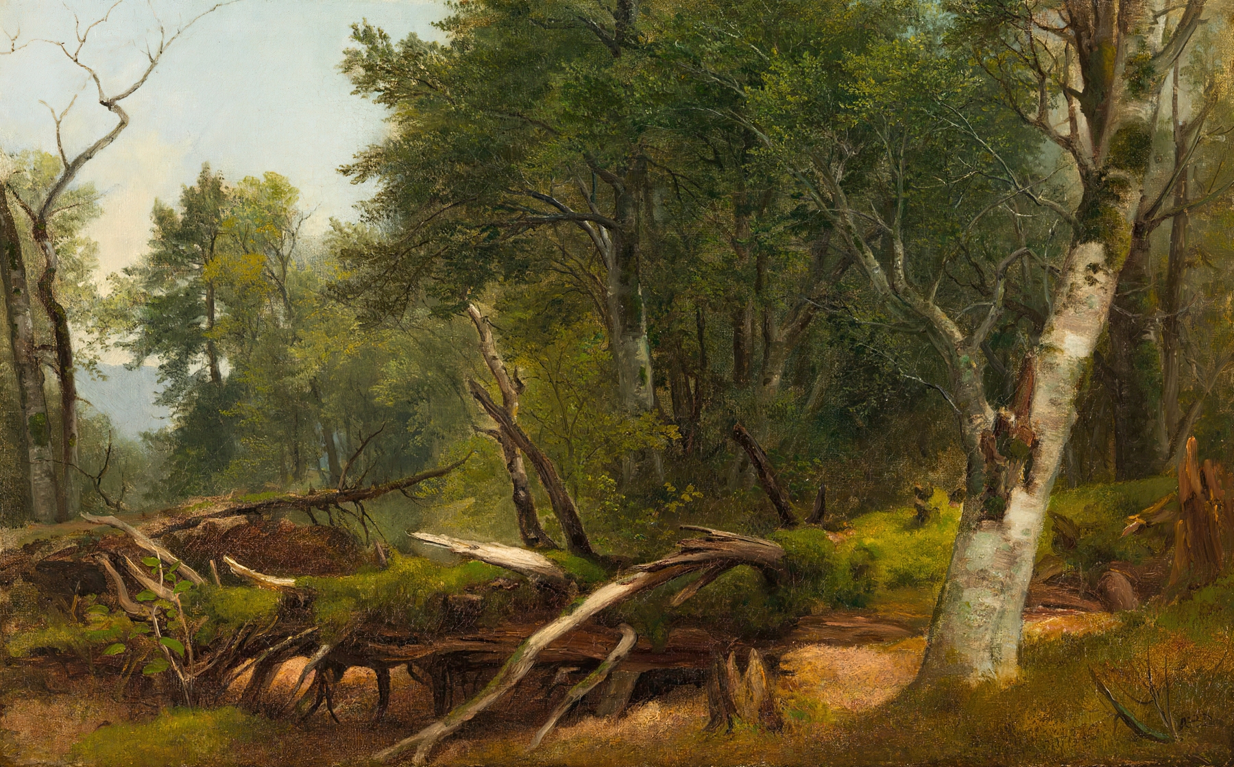 Forest Scene in the Catskills, by Asher Brown Durand, public domain