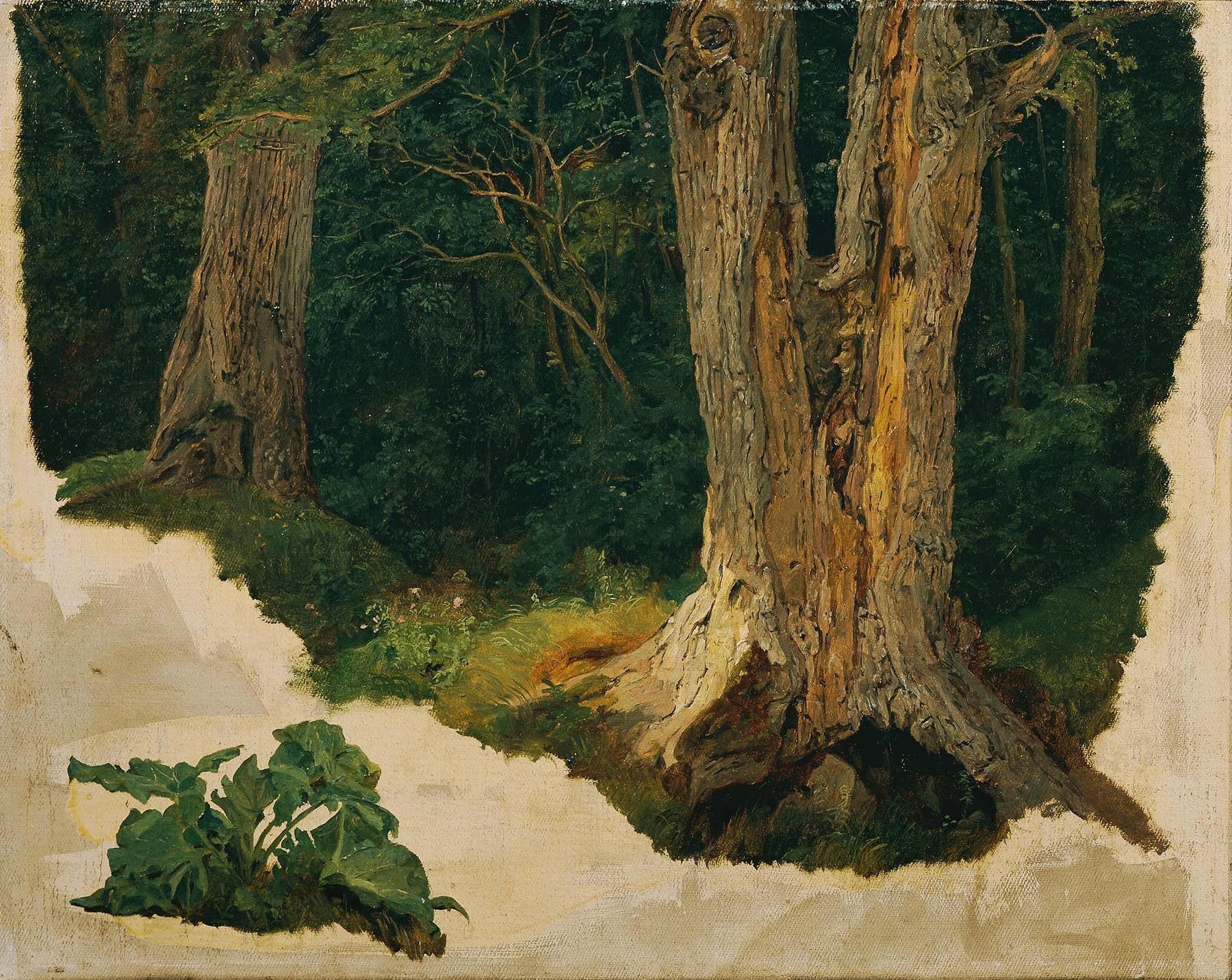 Botanical study of a tree by Ferdinand Georg Waldmüller, oil painting