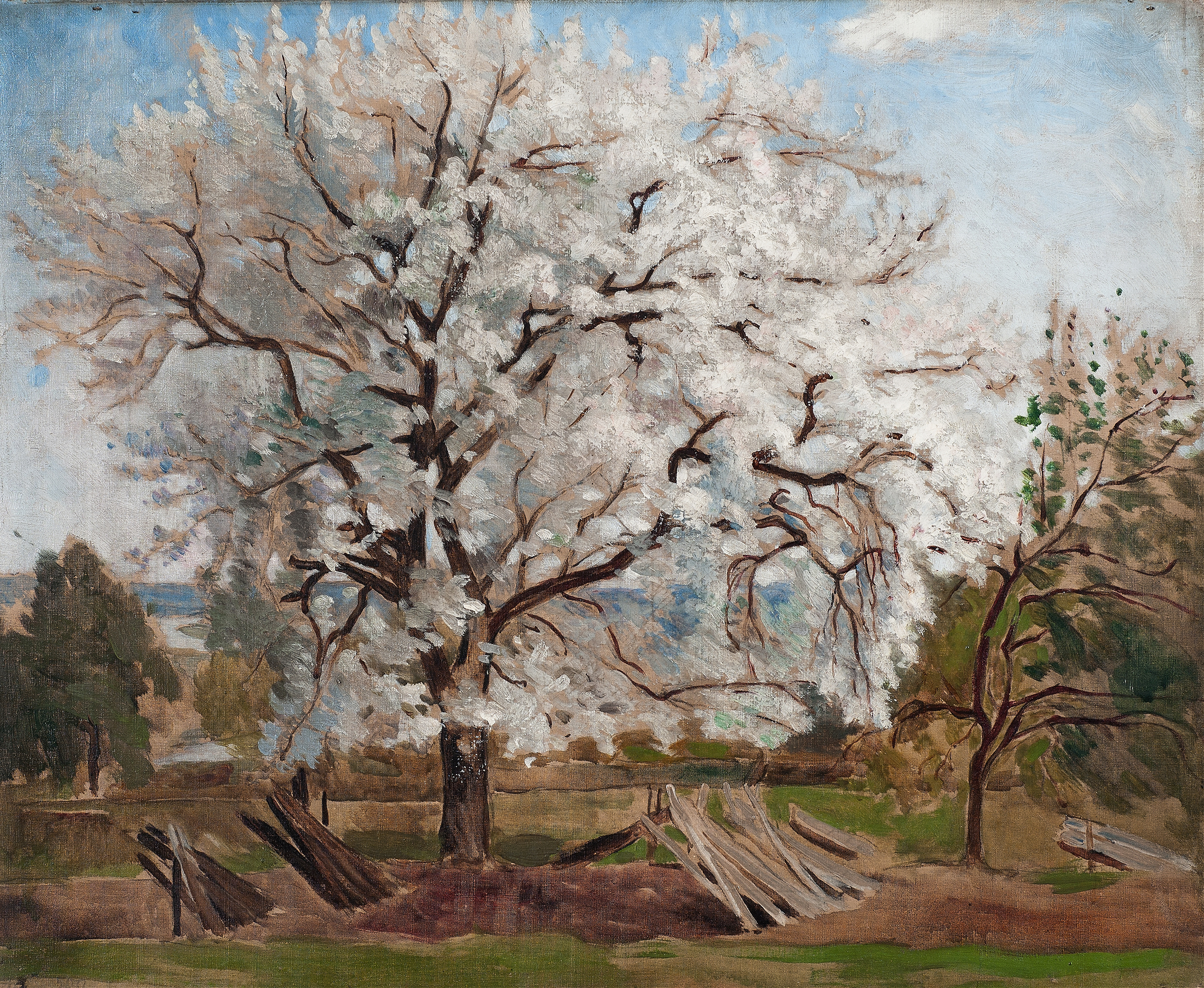 Apple Tree in Blossom by Carl Fredrik Hill, oil on canvas showing pink blossoms and green foliage