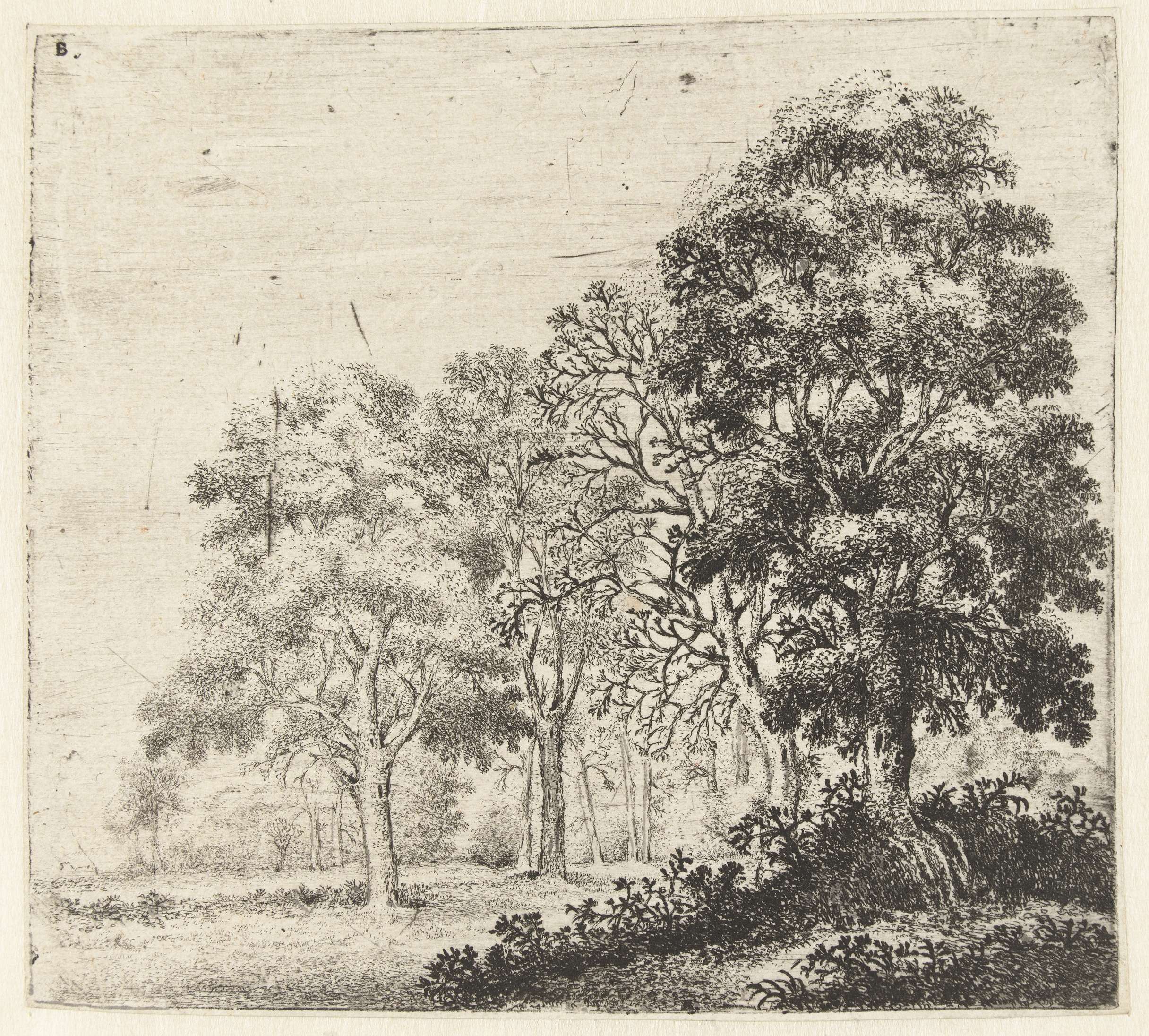 Landschap met boom by Jan van Brosterhuyzen, etching depicting a tree against a serene landscape.