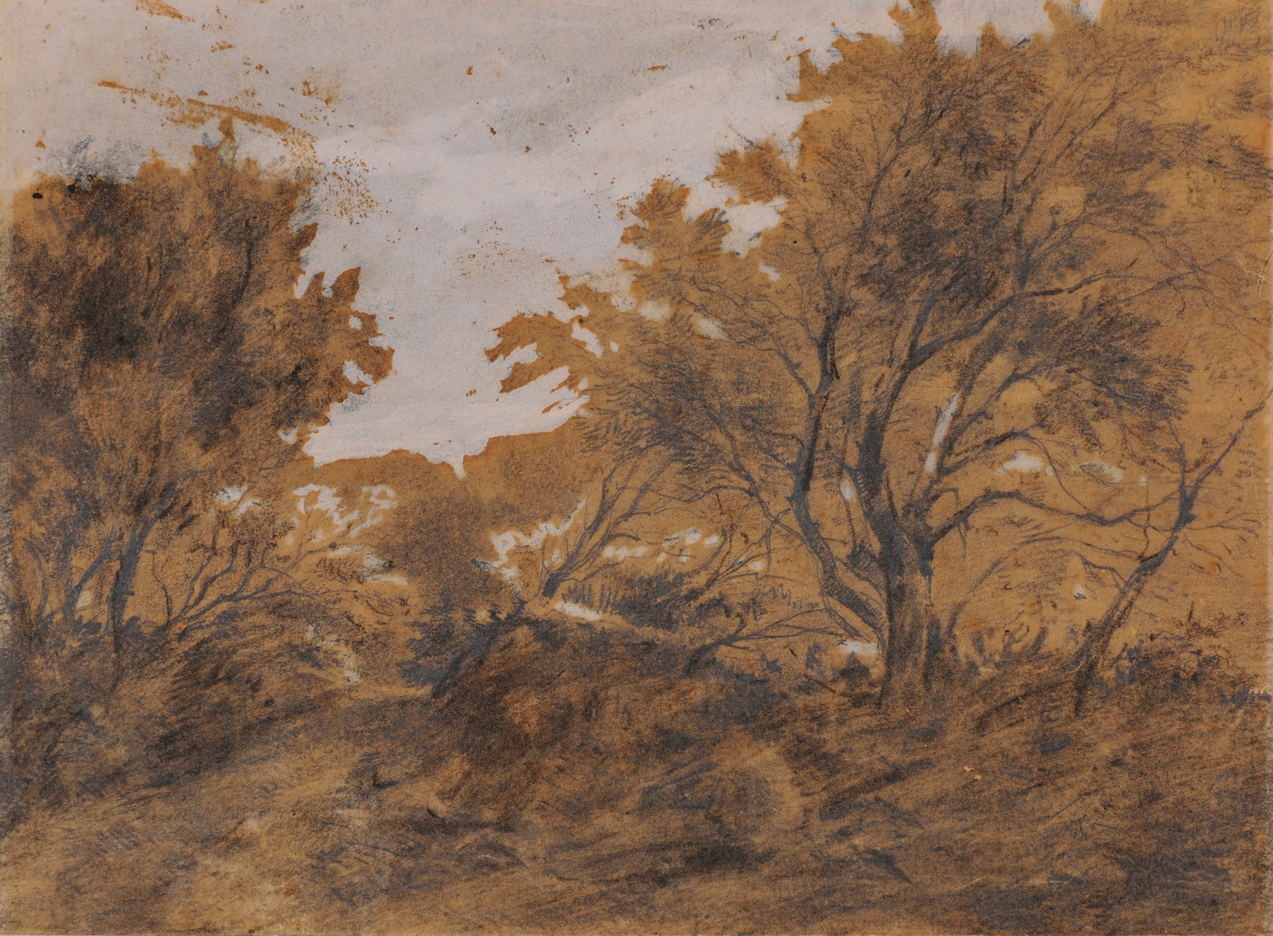 Paysage boisé, coup de vent, by Théodore Rousseau, public domain