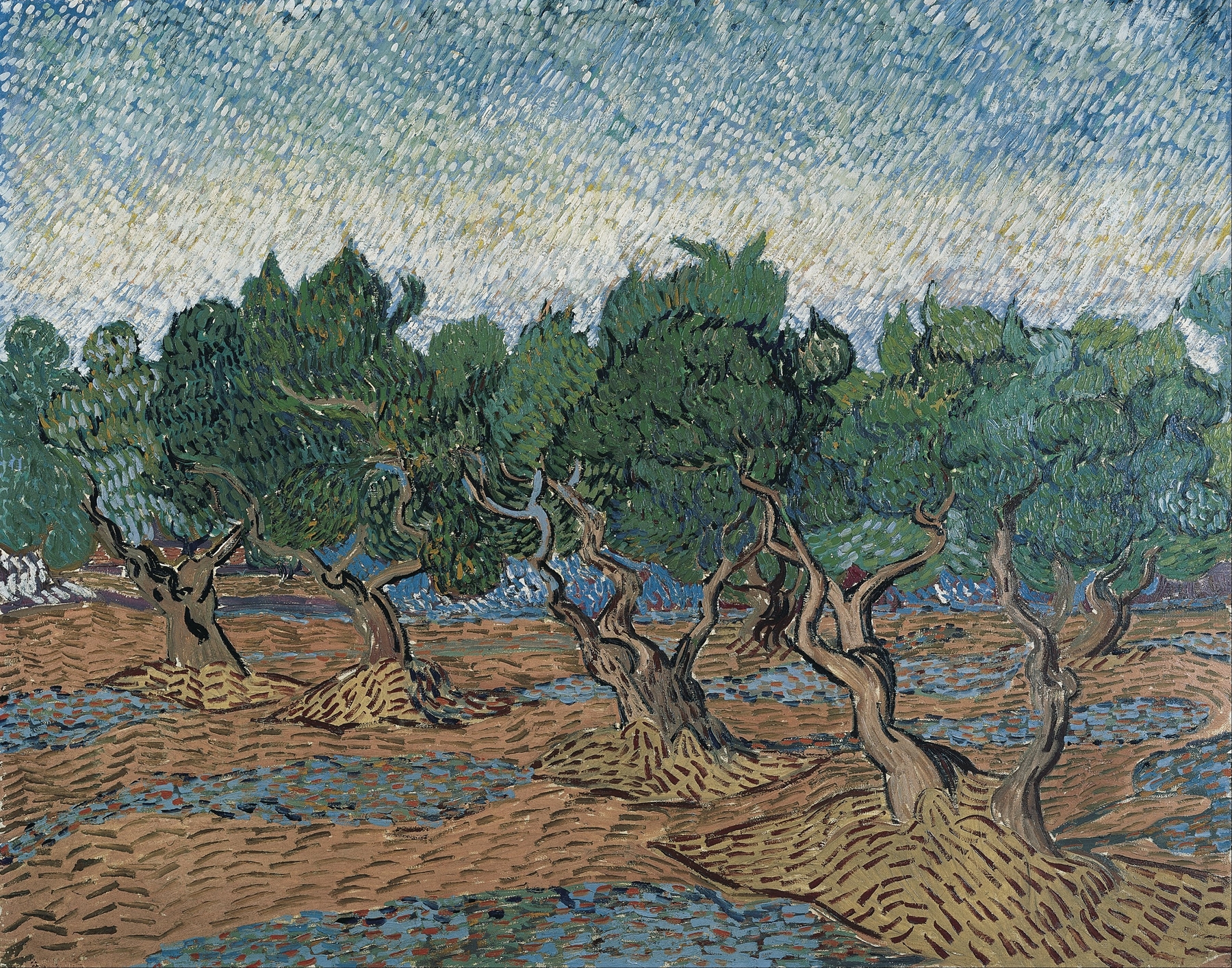 Olive grove, by Vincent van Gogh, public domain