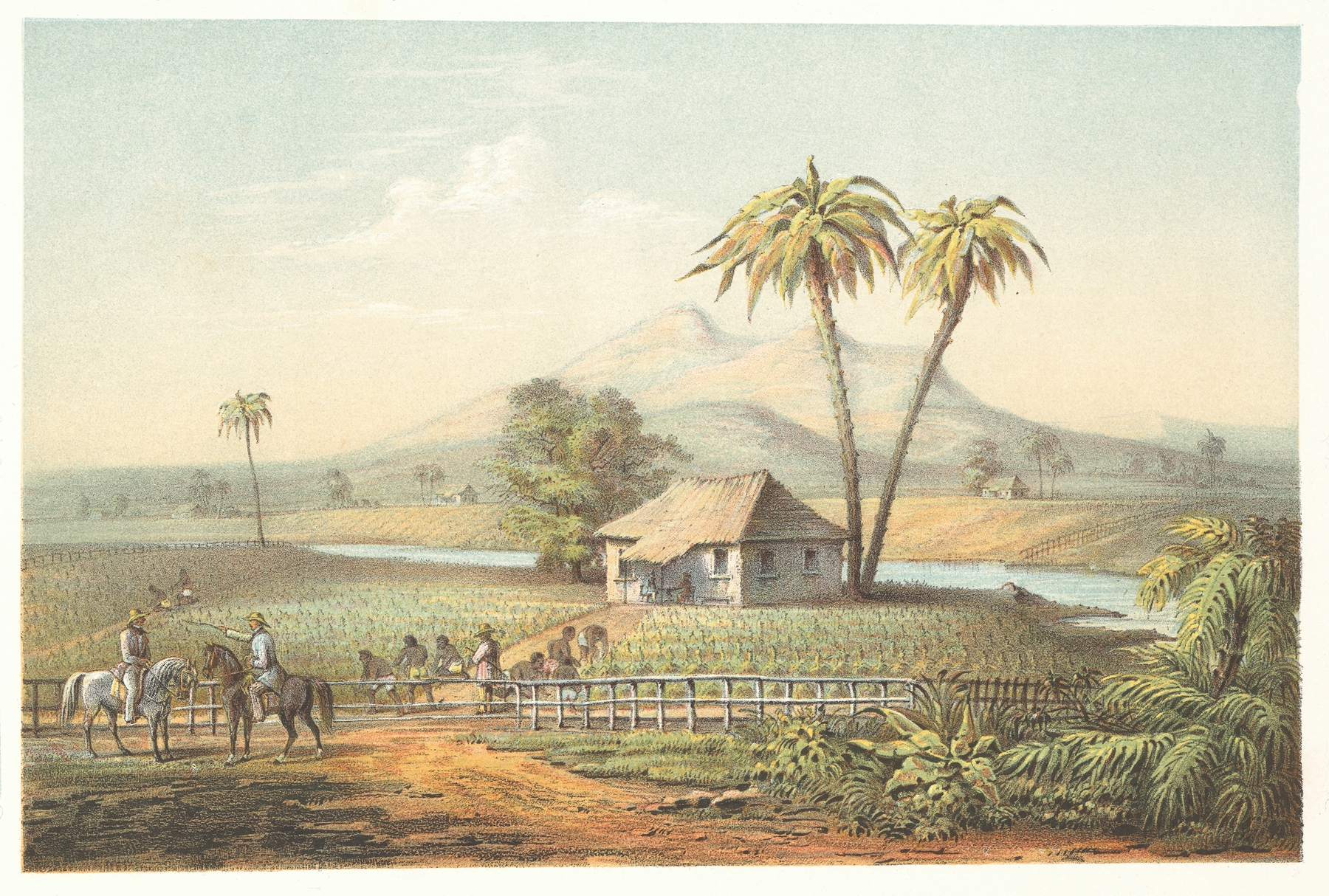Landscape of tobacco fields in sunlight, oil on canvas by Pierre Toussaint Frédéric Mialhe